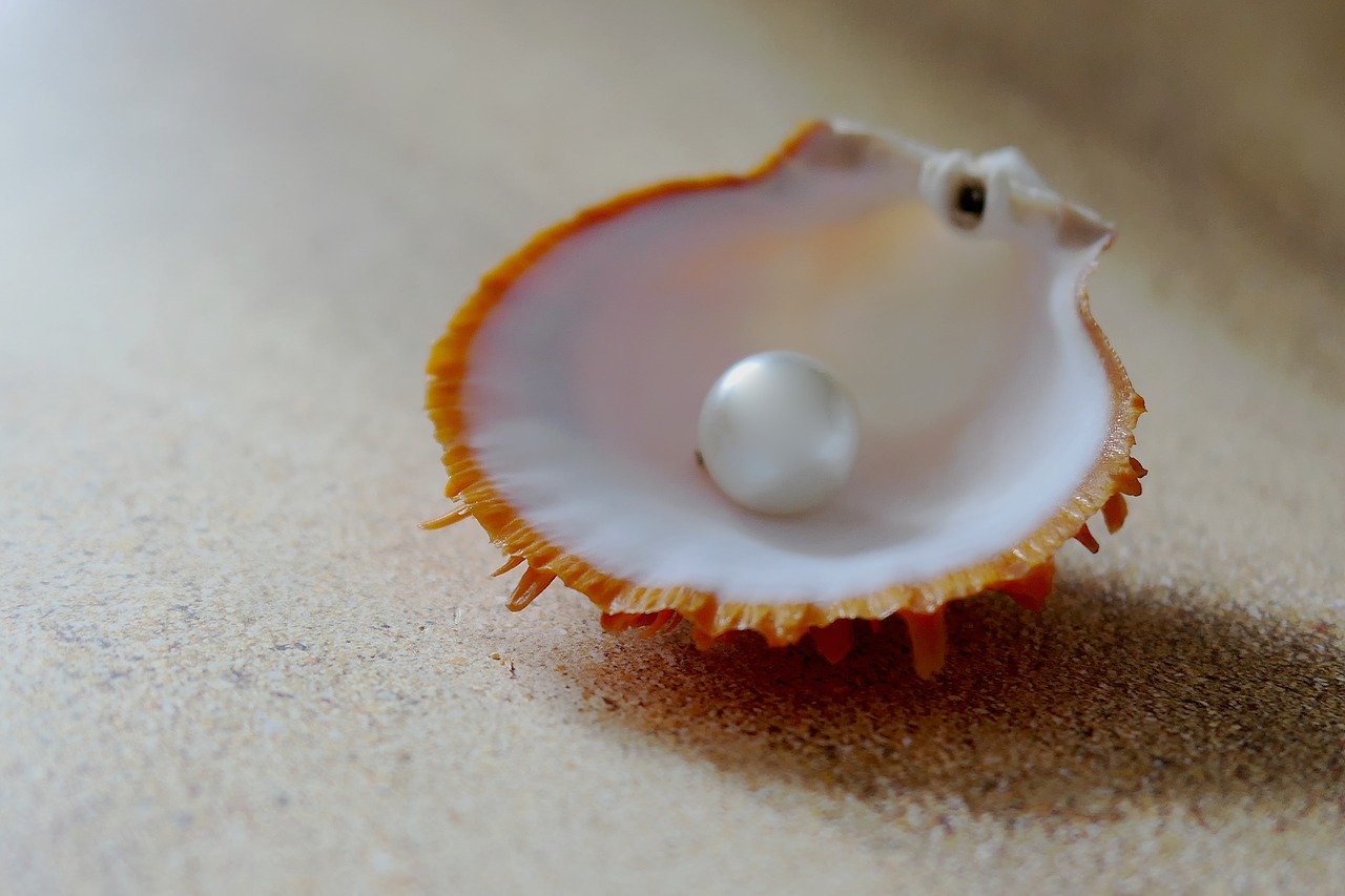 What are Japanese pearl divers called?