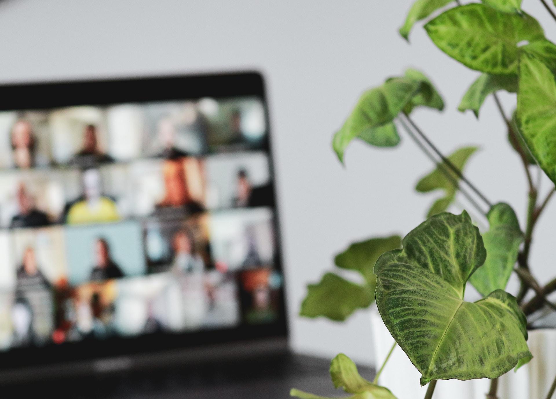 An open laptop computer with its screen displaying a blurry capture of a video conference with many participants sits next to a green plant seen in vivid relief. 