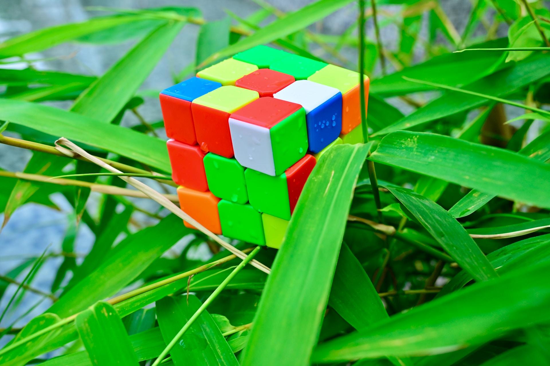 A brightly coloured Rubik's Cube, all jumbled up, sits on a patch of vivid green grass.