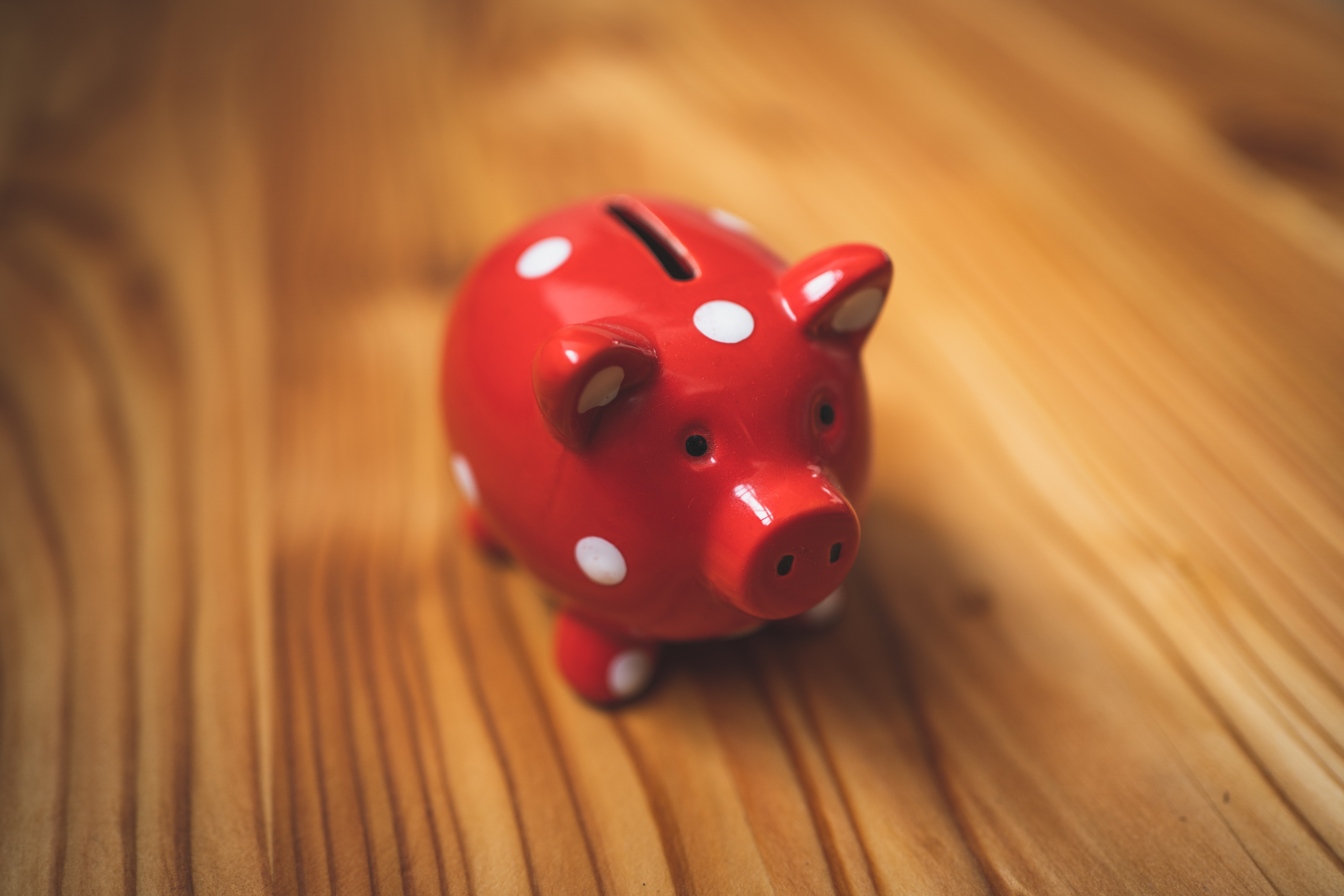 How to study Economics without a Maths Focus