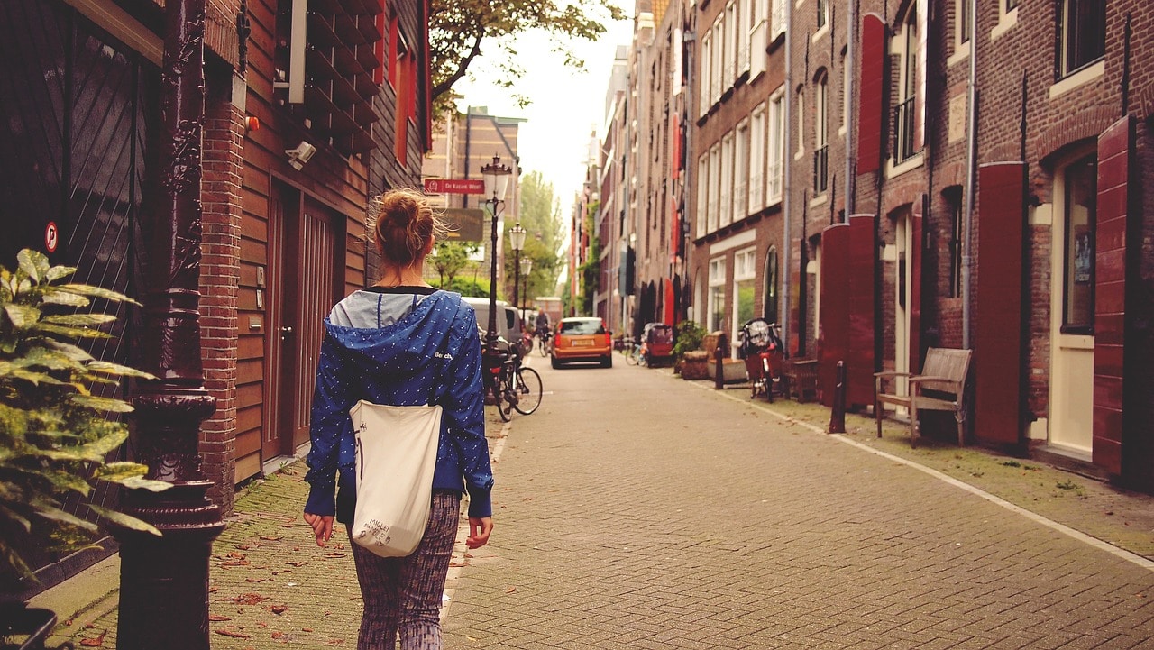 Is there a student exchange program to the Netherlands?