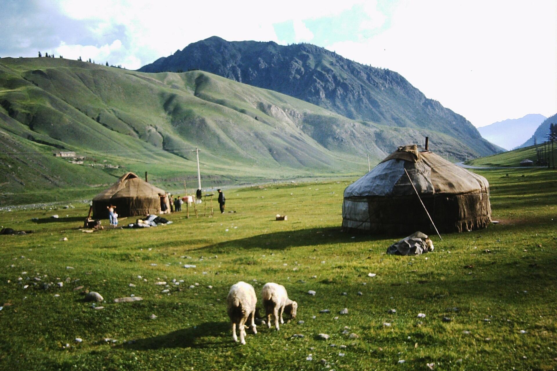 Two yurts set in a broad steppe with mountains in the background. A pair of sheep grazes while people mill about.