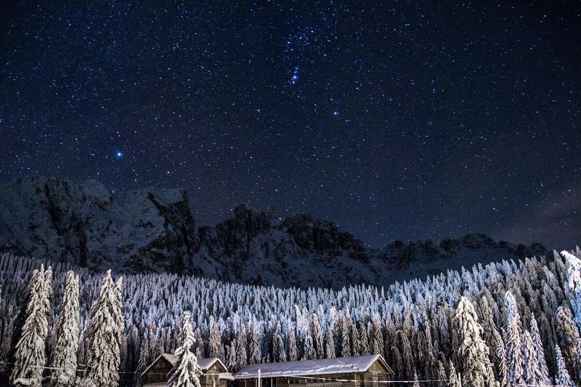 A view of snowy treetops in Carezza, Italy.