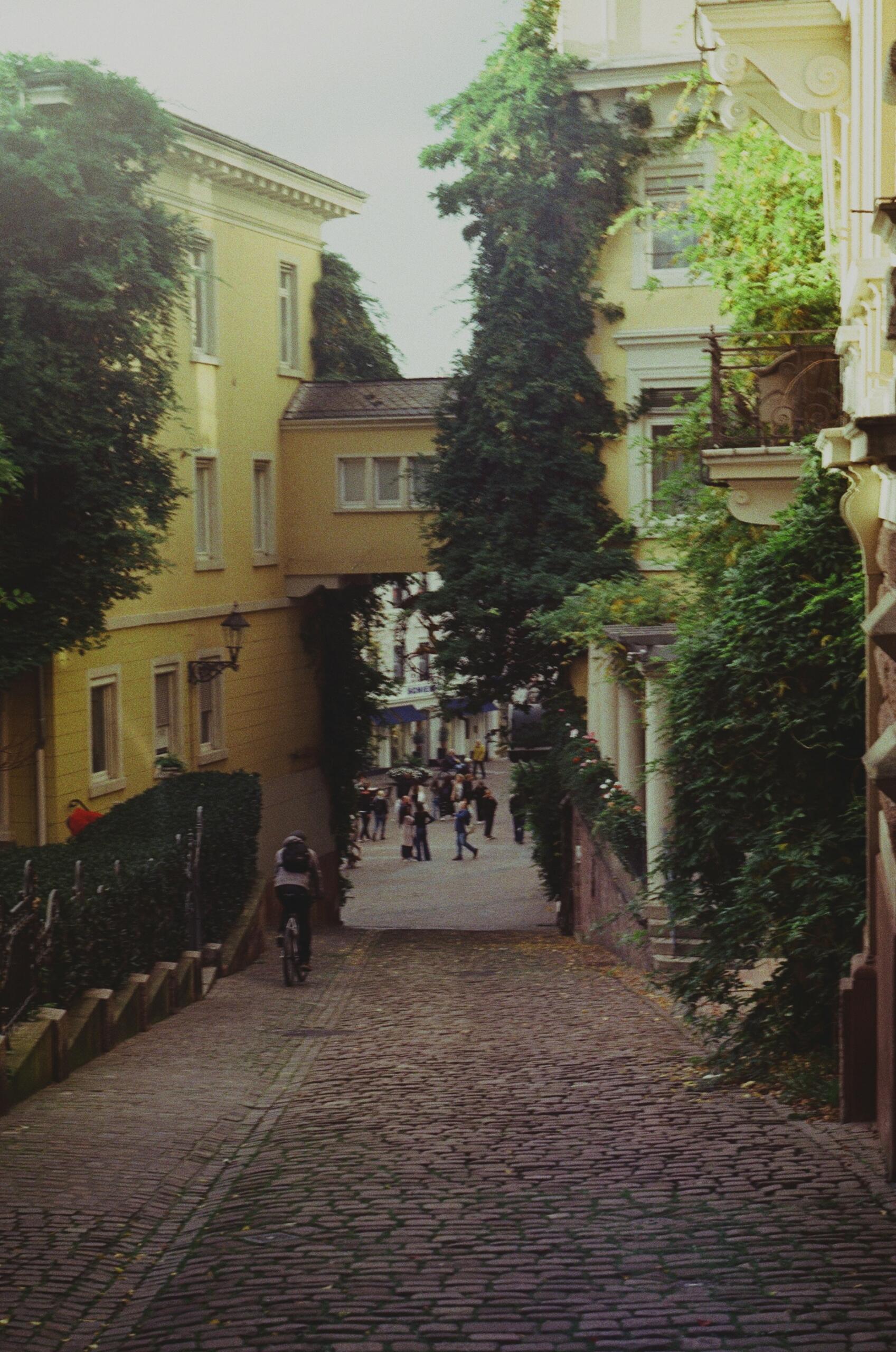 A narrow cobblestoned street flanked by yellow buildings.