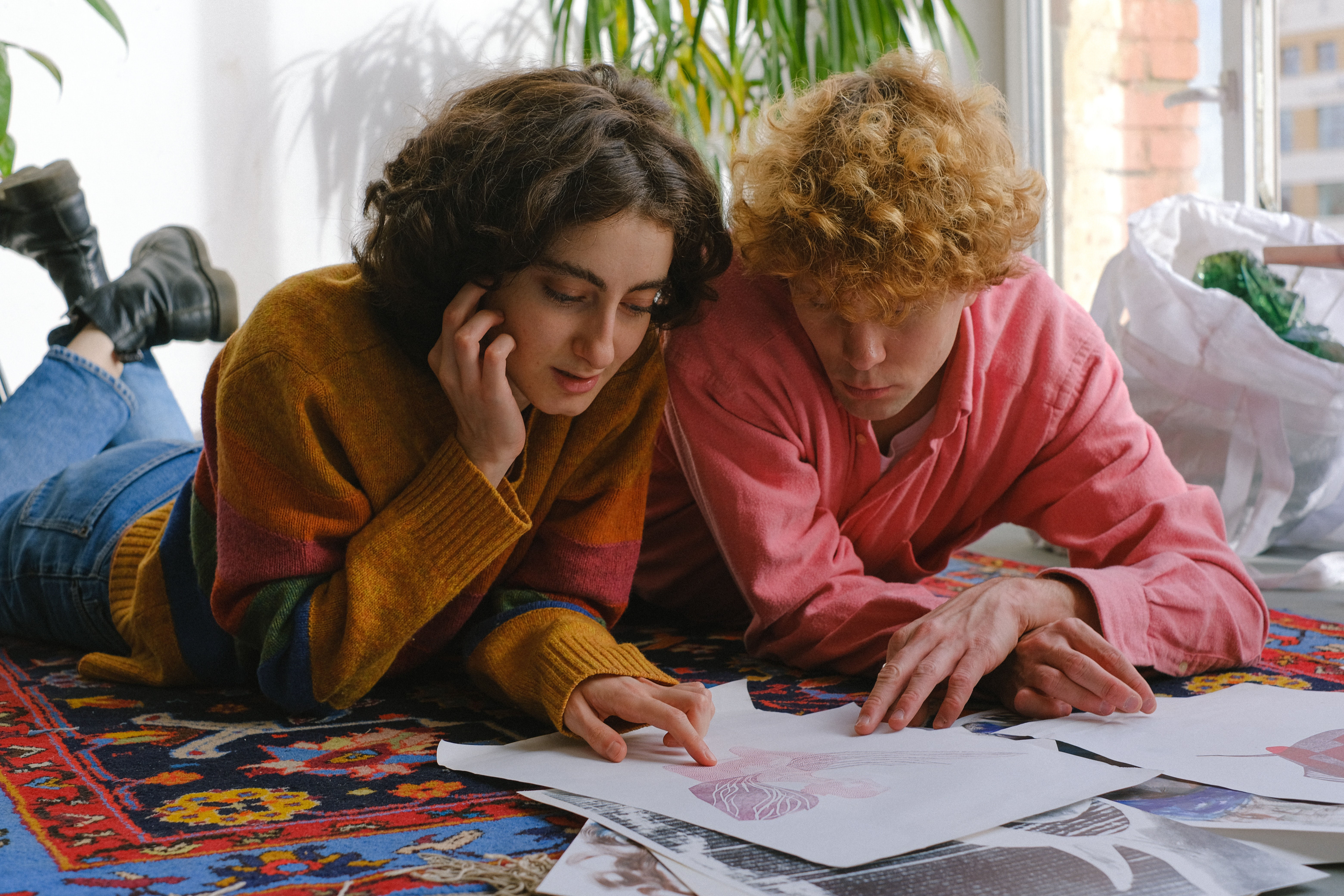 revise your portfolio before you apply