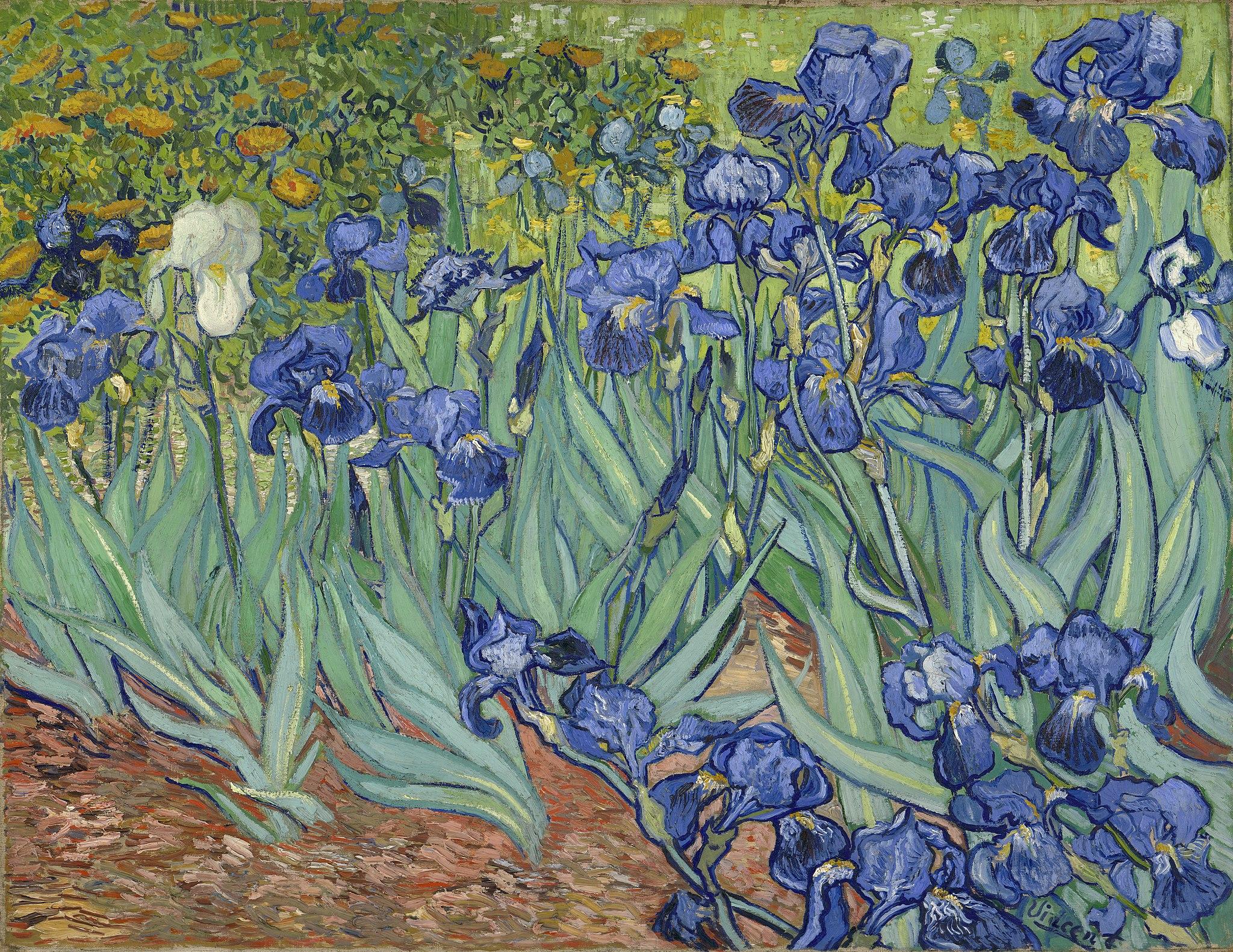 Irises by VIncent van Gogh