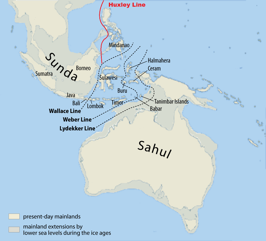 map of the ancient land masses Sunda and Sahul