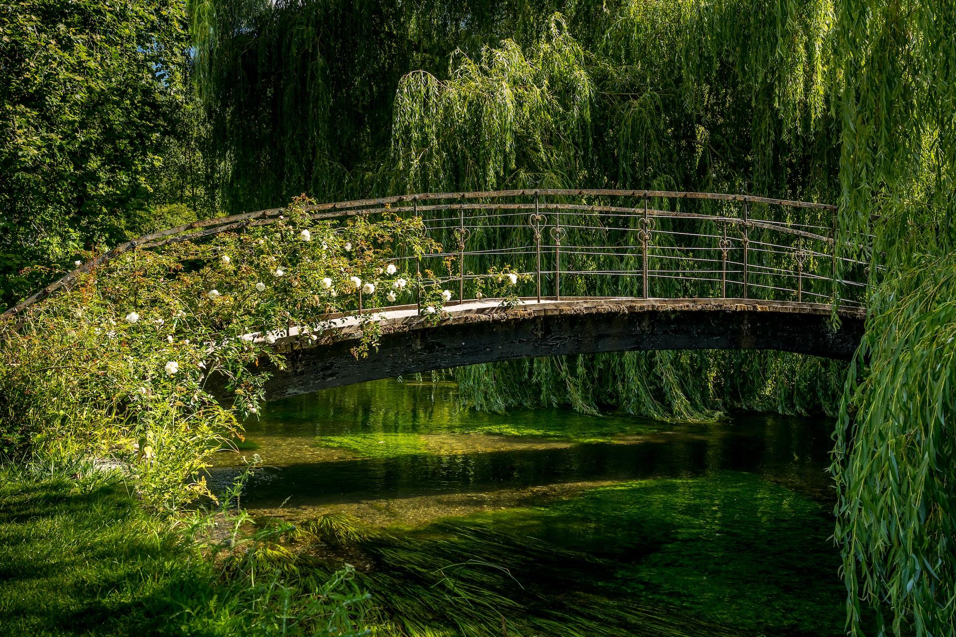 The bridge at Monet's Gardens