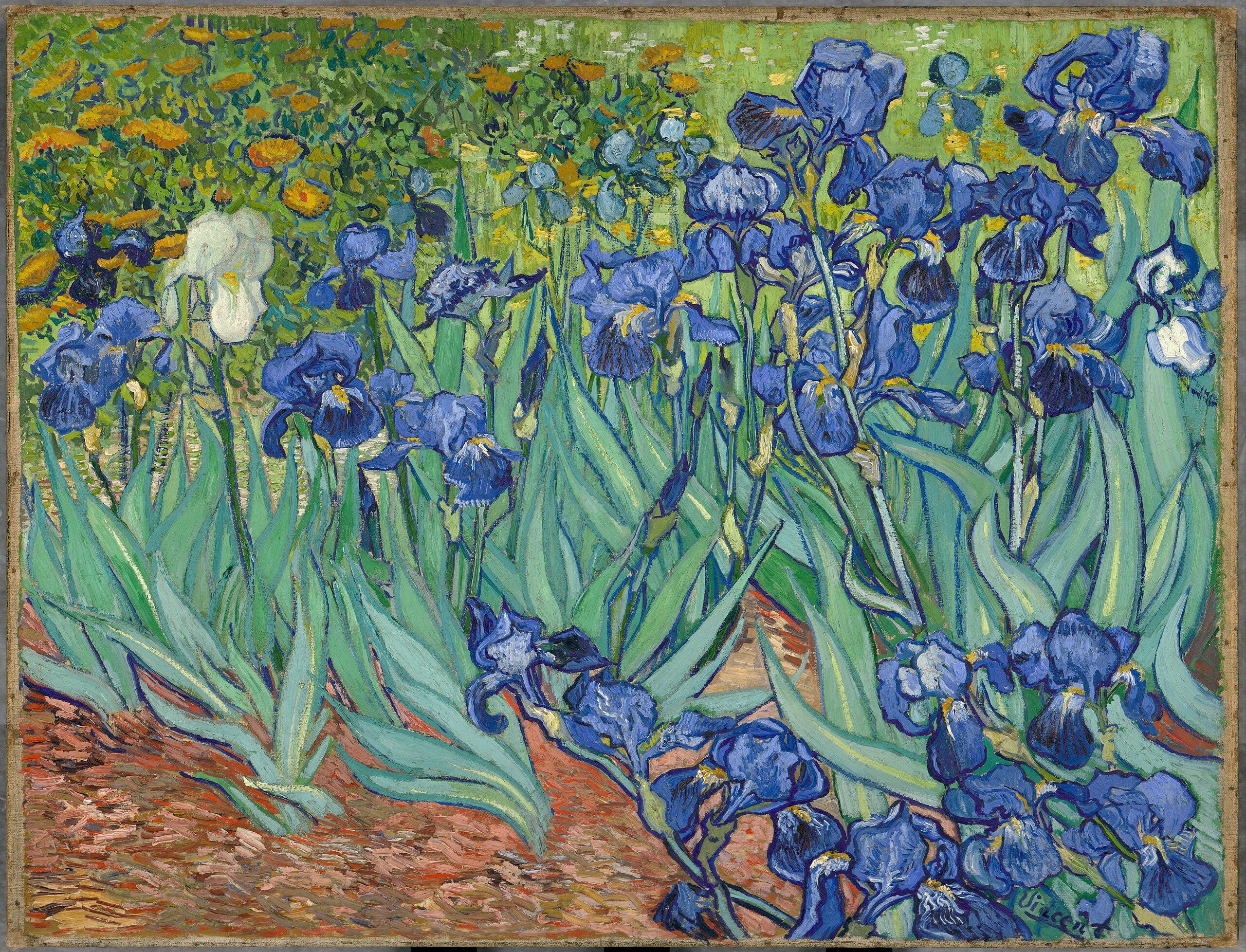 Vincent van Gogh - Irises