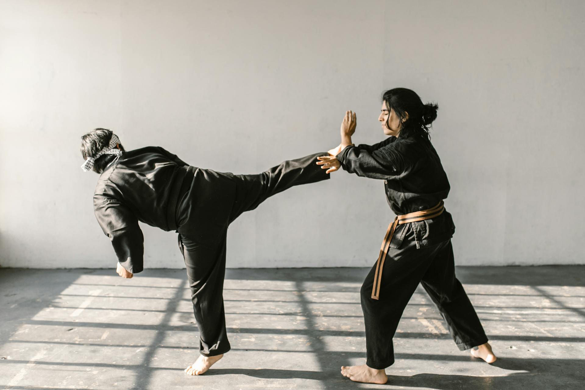 jujutsu fighters sparring, with one delivering a chest-height kick and the other blocking