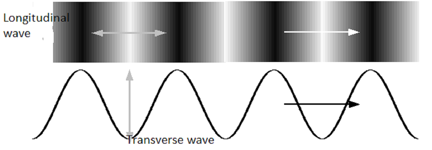 Diagram comparing wave types: the top shows a longitudinal wave with horizontal arrows, and the bottom shows a transverse wave with vertical peaks.