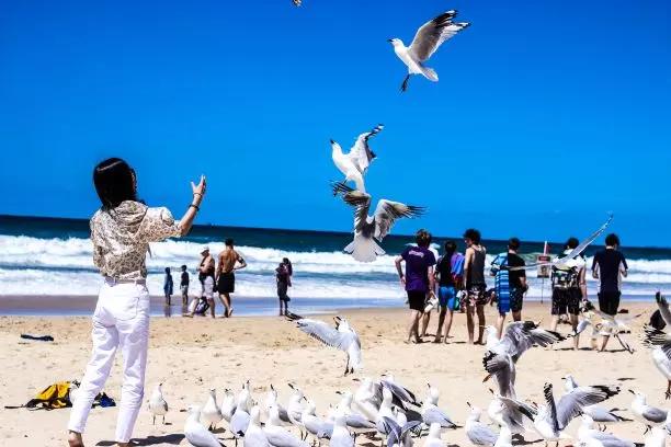 Learn English while touring Australia
