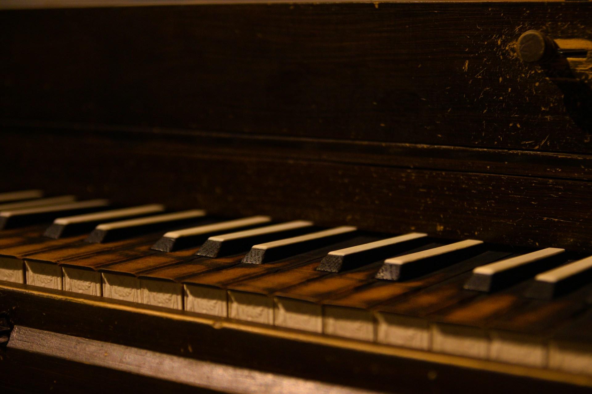 A close-up view of keys on a harpsichord.