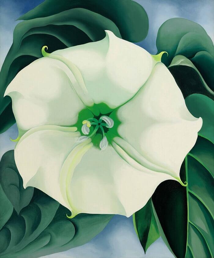 Jimson Weed (1932) by Georgia O'Keeffe