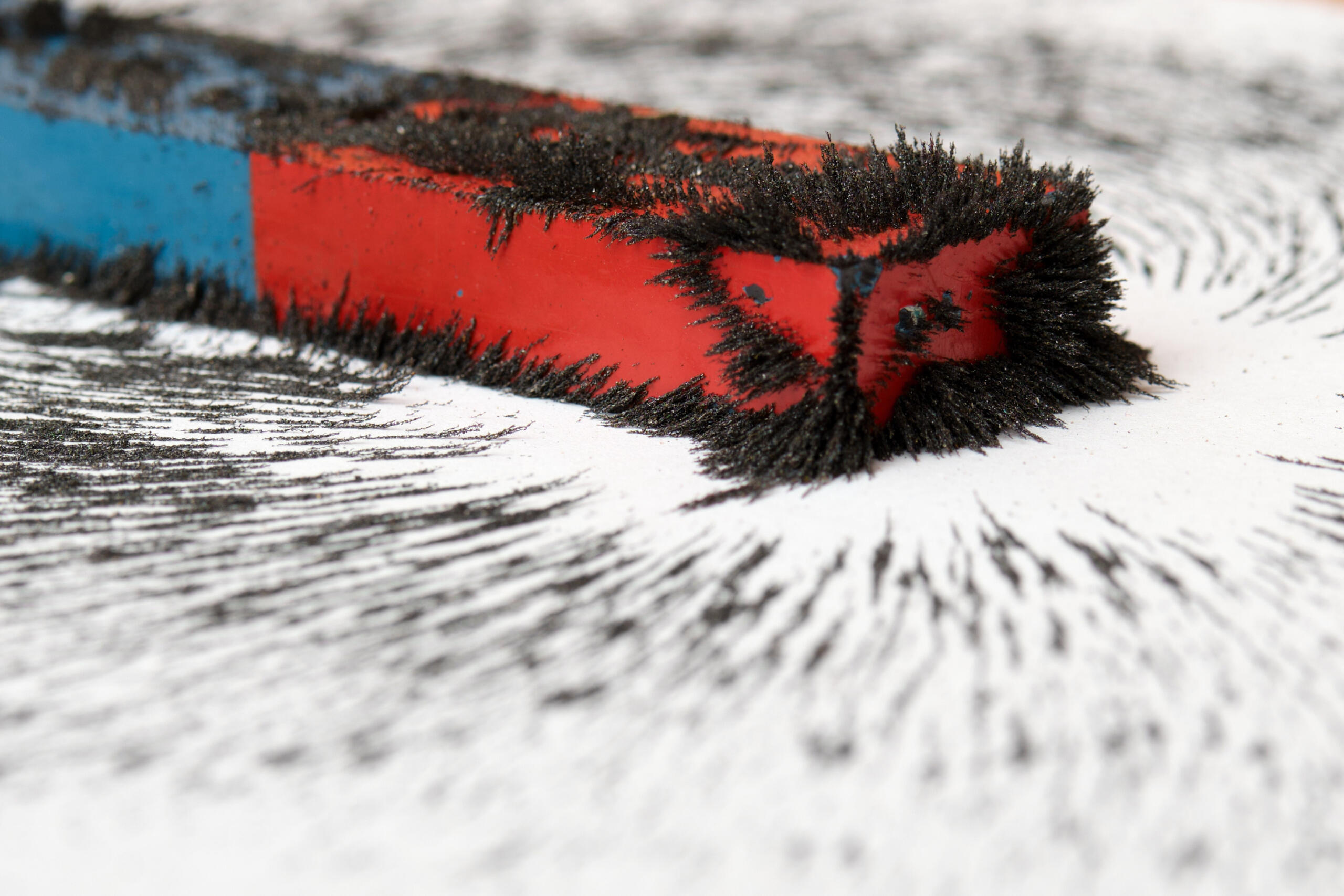 A red and blue bar magnet with iron filings scattered on it. 