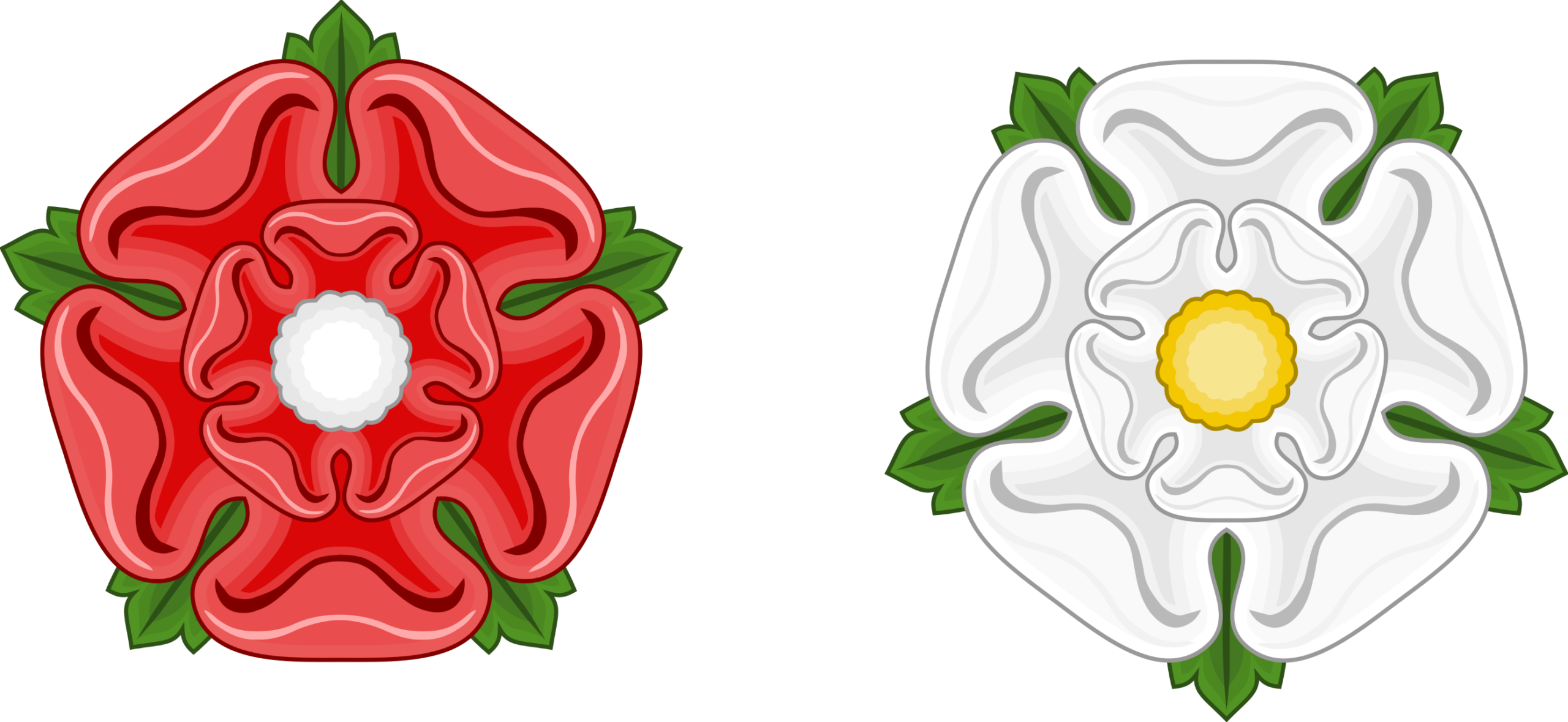 Illustration showing two stylised roses, one red and one white, each with layered petals and green leaves.