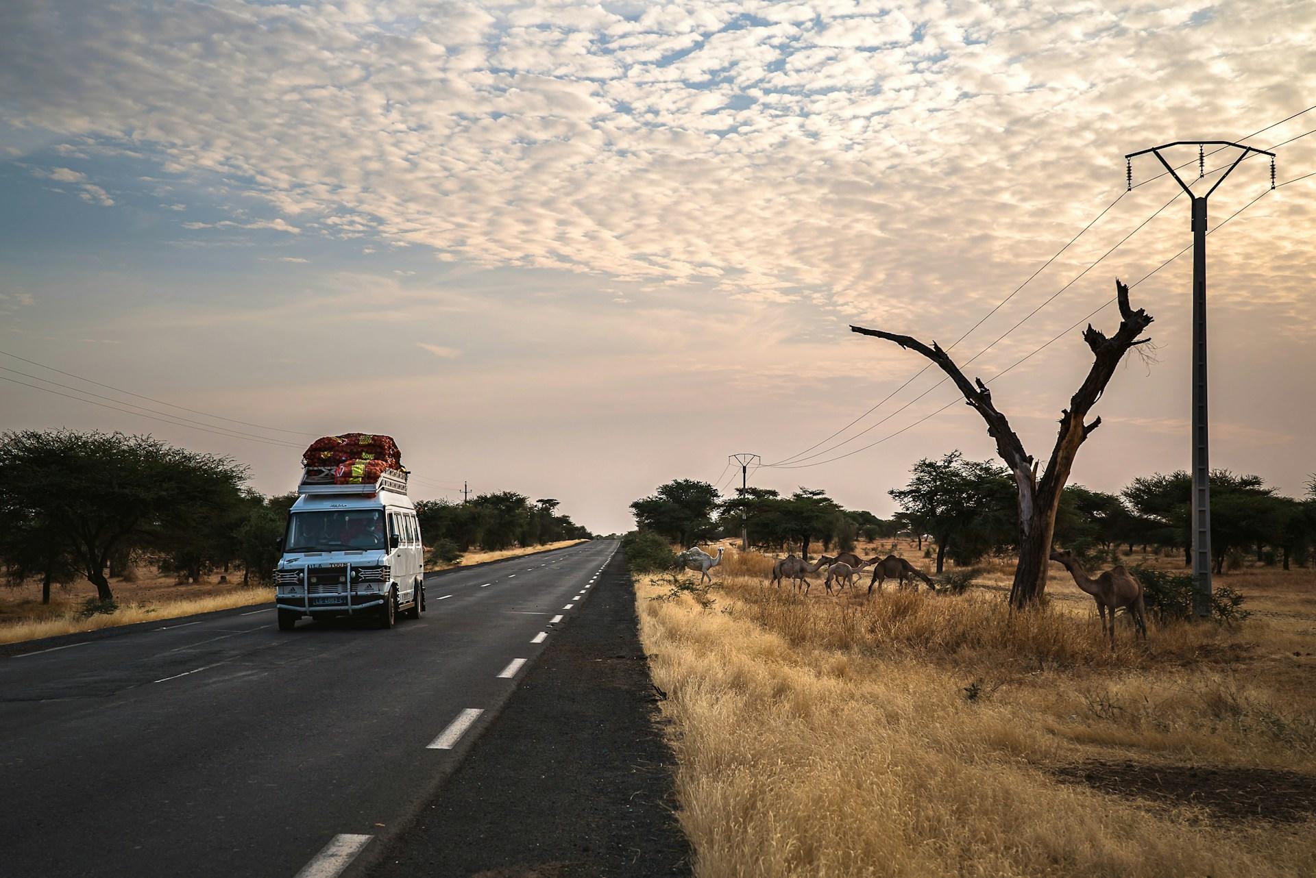 A road in Dahra, Senegal.
