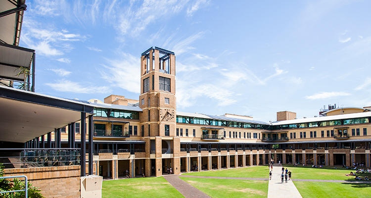 UNSW green lawn