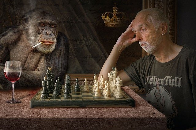 Chess is a much wilder game than you might think!