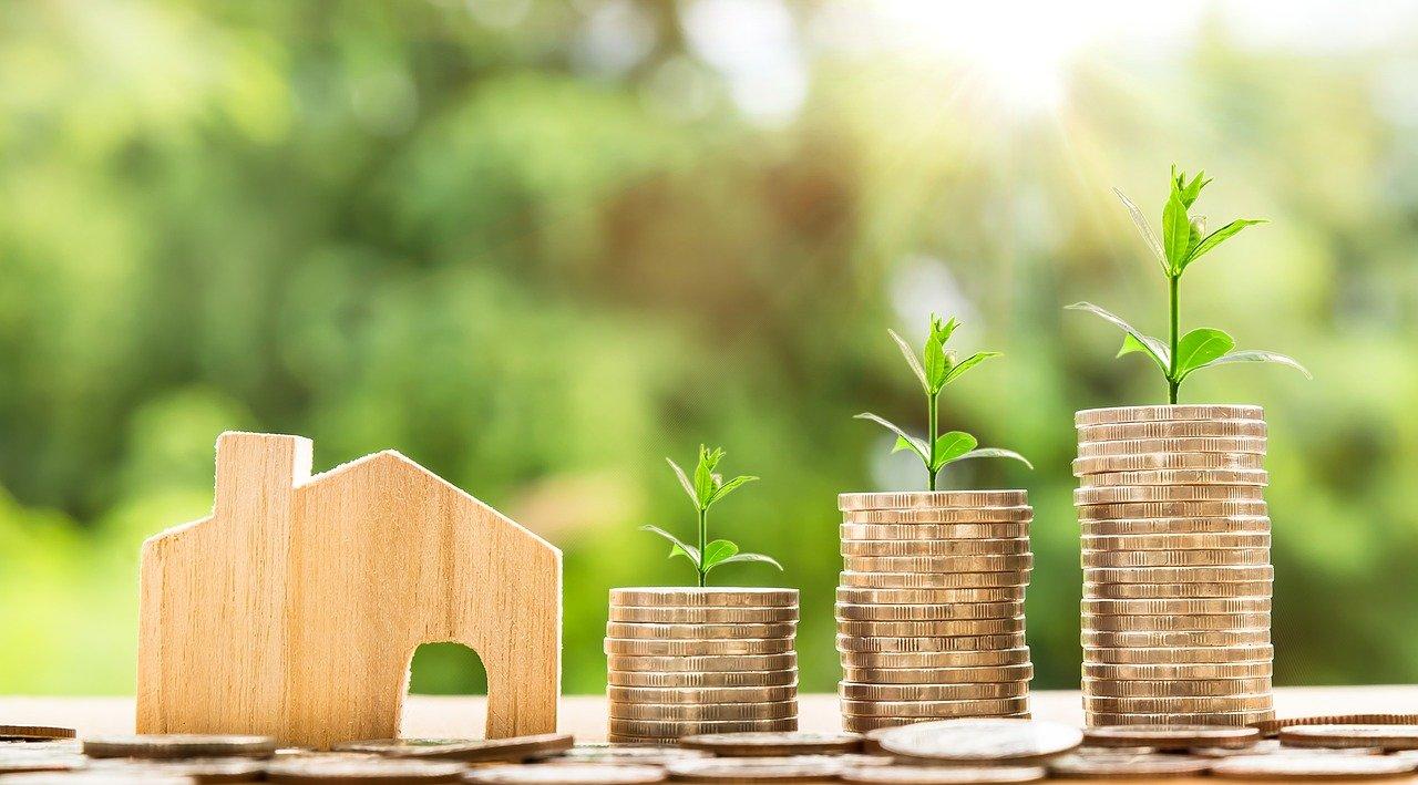 What is economics, and how can students develop key skills in it?