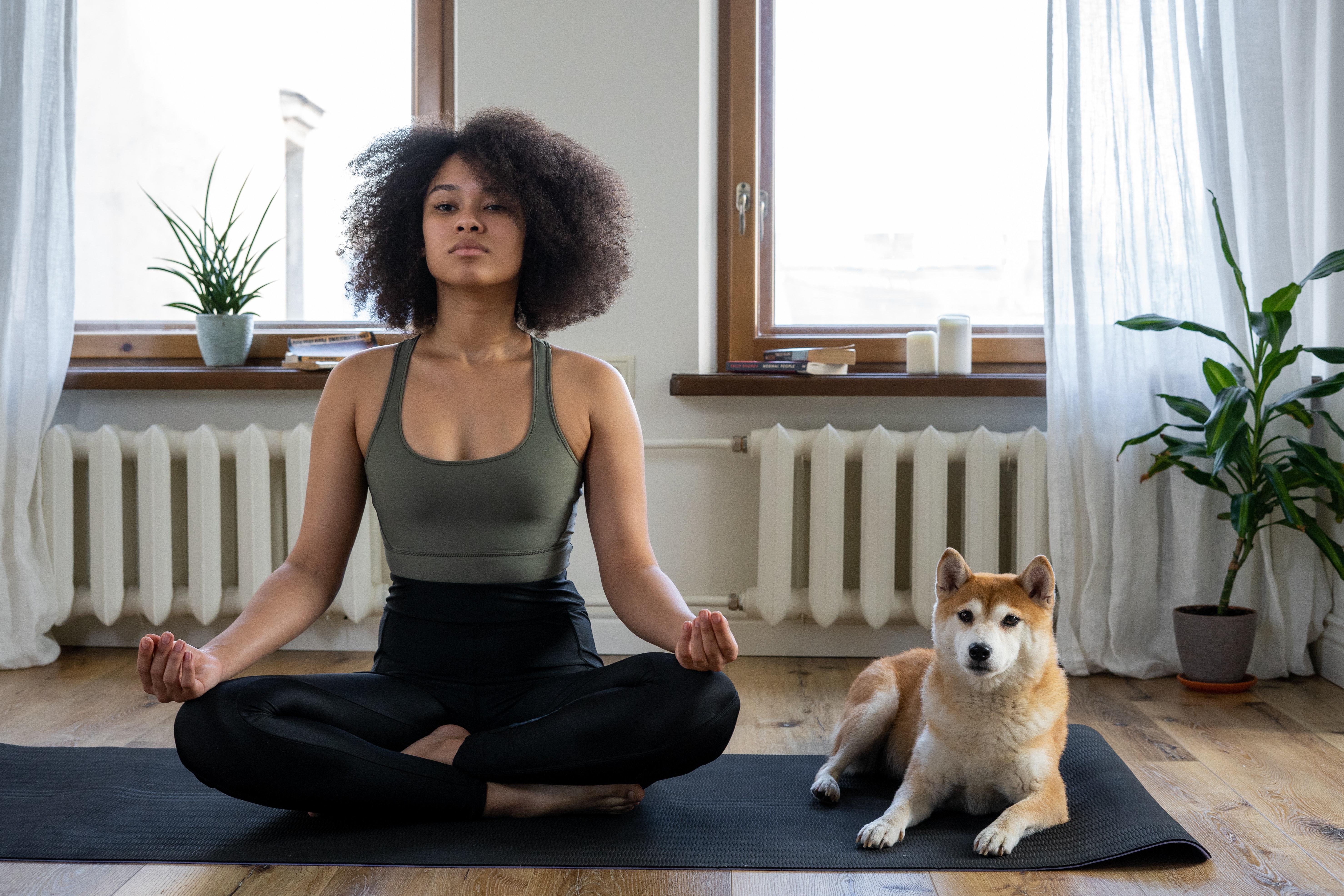 Learn how to meditate so you can do it on your own