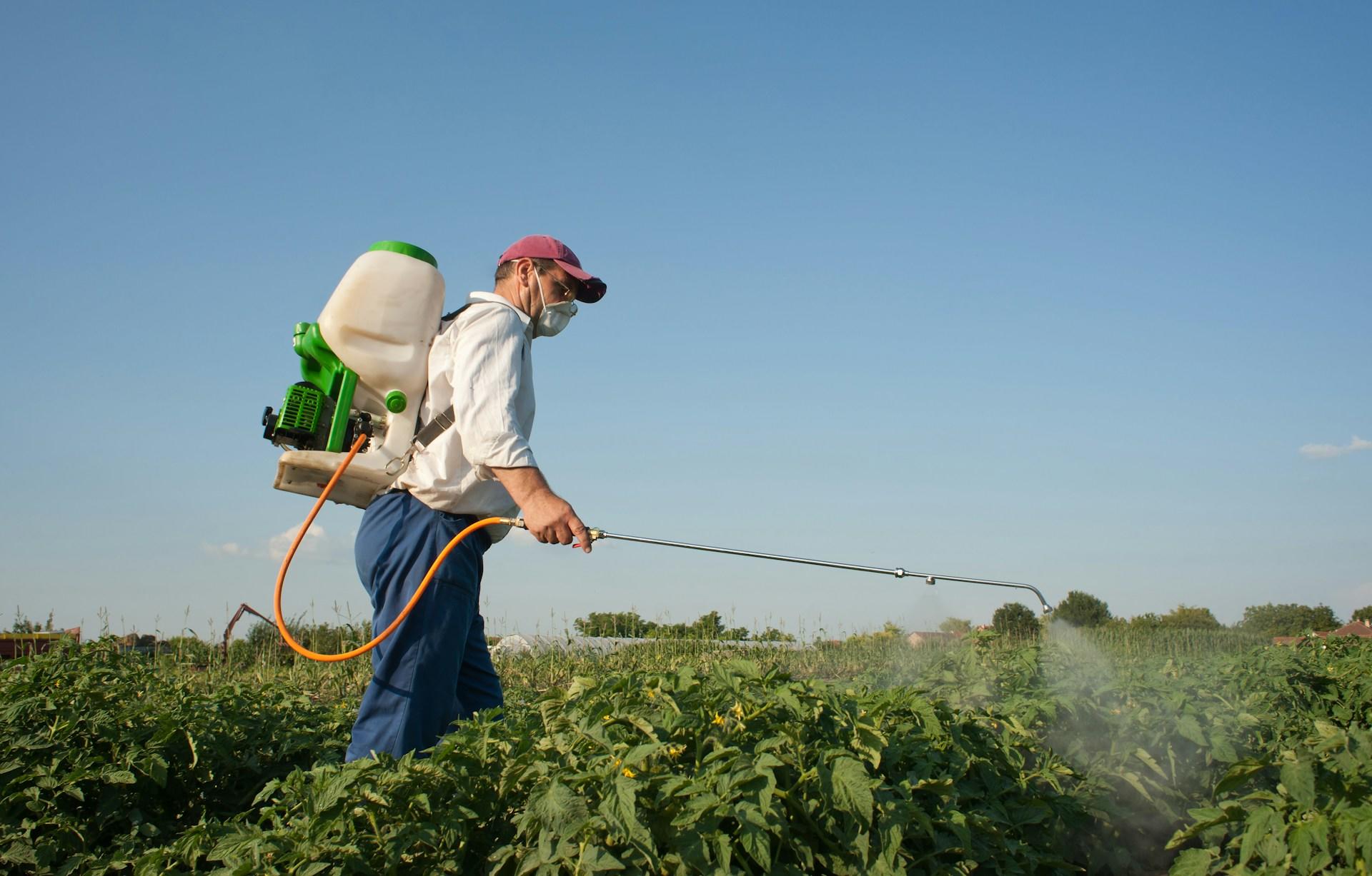 A person spraying pesticide on a field.
