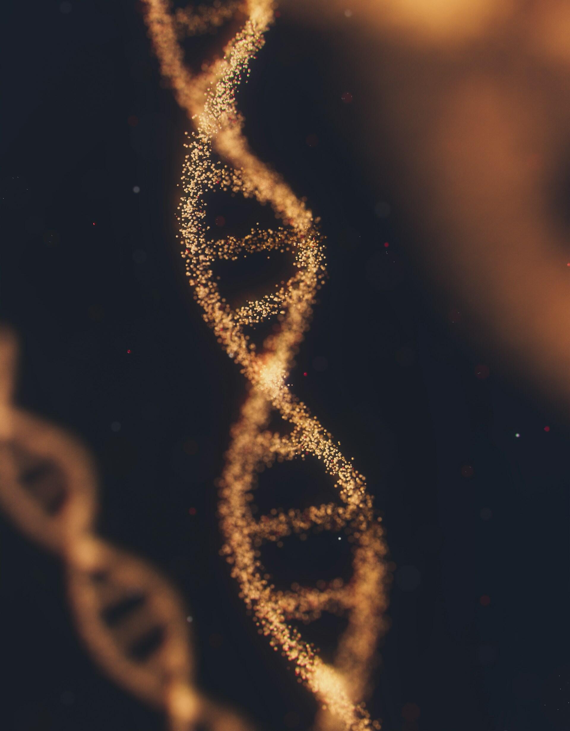 A DNA helix.