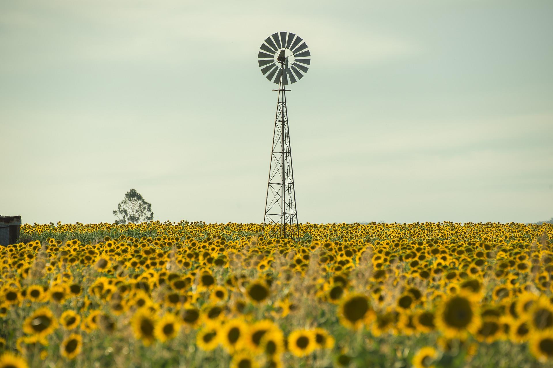 Those who live in country areas often have broad accents