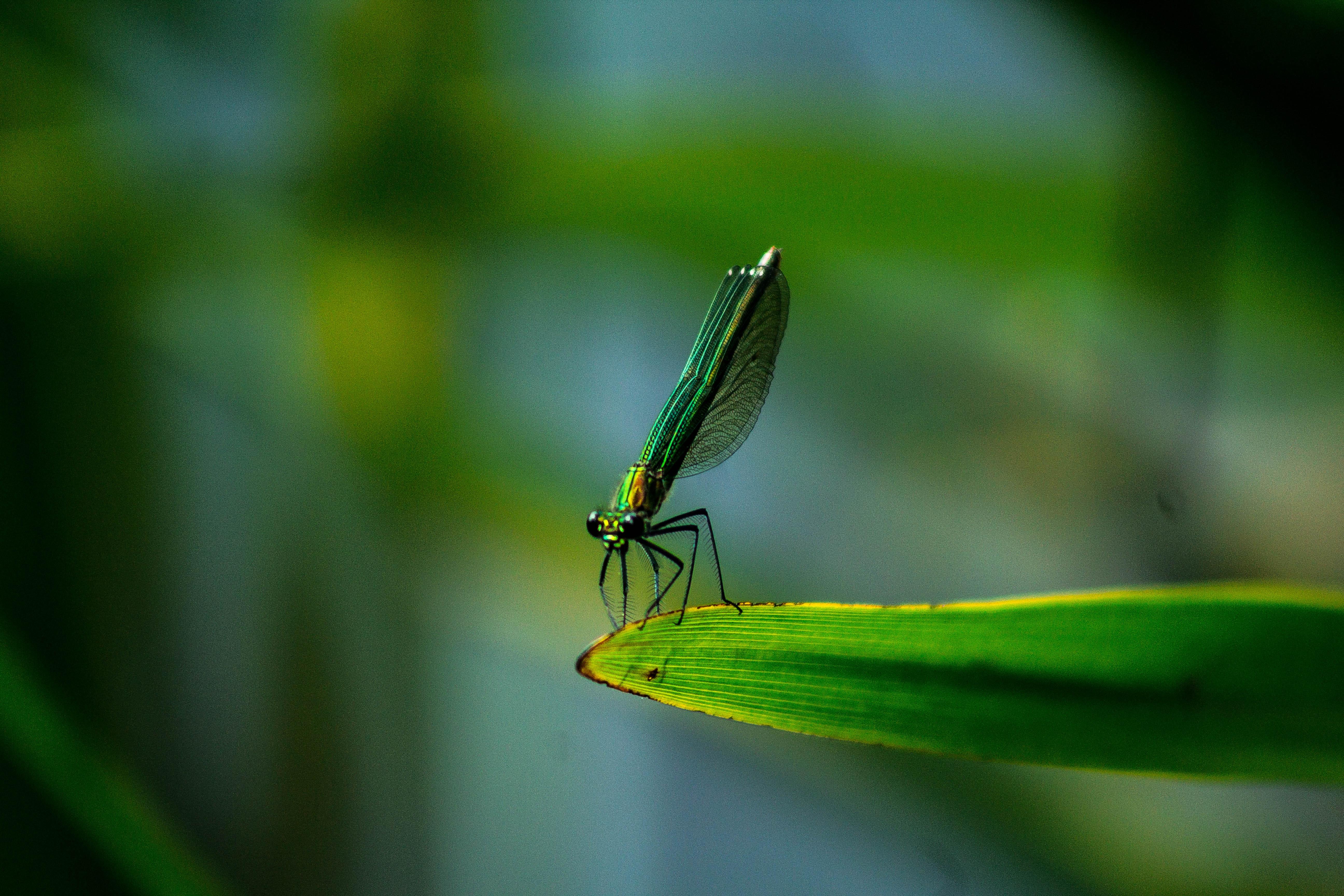 Biology is the science of life that will help you better understand the world