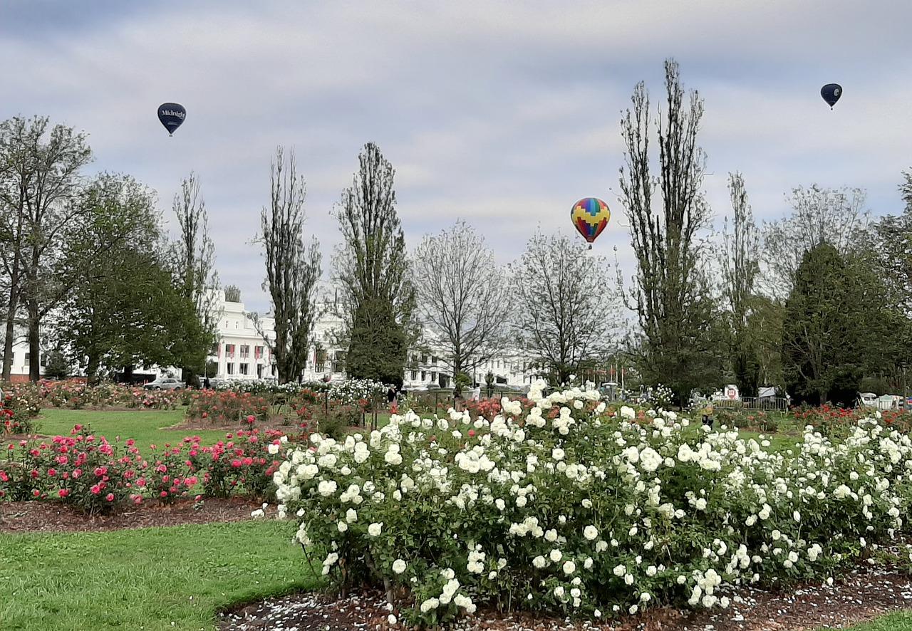 Where can I take German classes in Canberra?