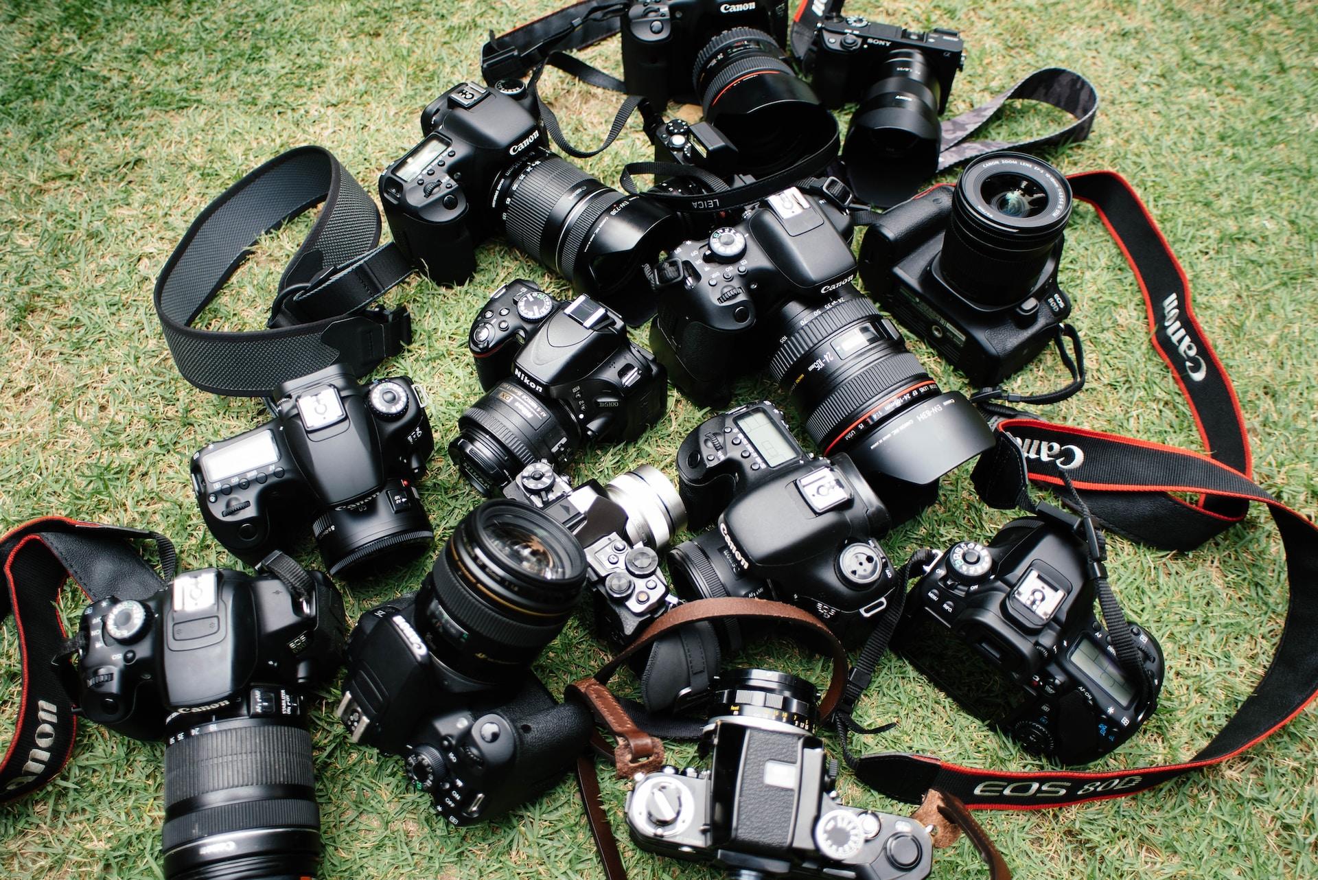 Several different Canon cameras on grass.
