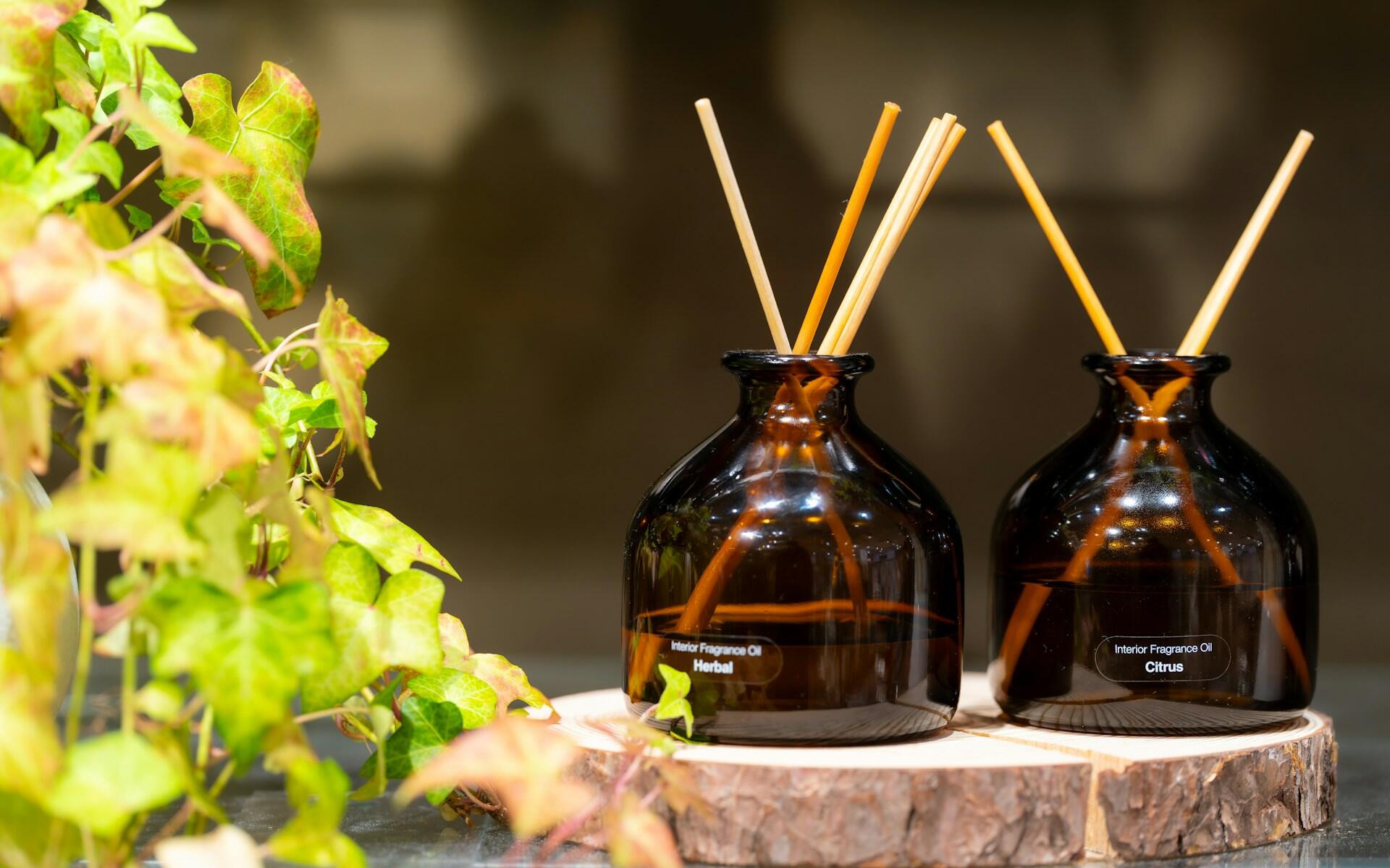 Two brown bottles with diffuser sticks in them next to a green plant. 