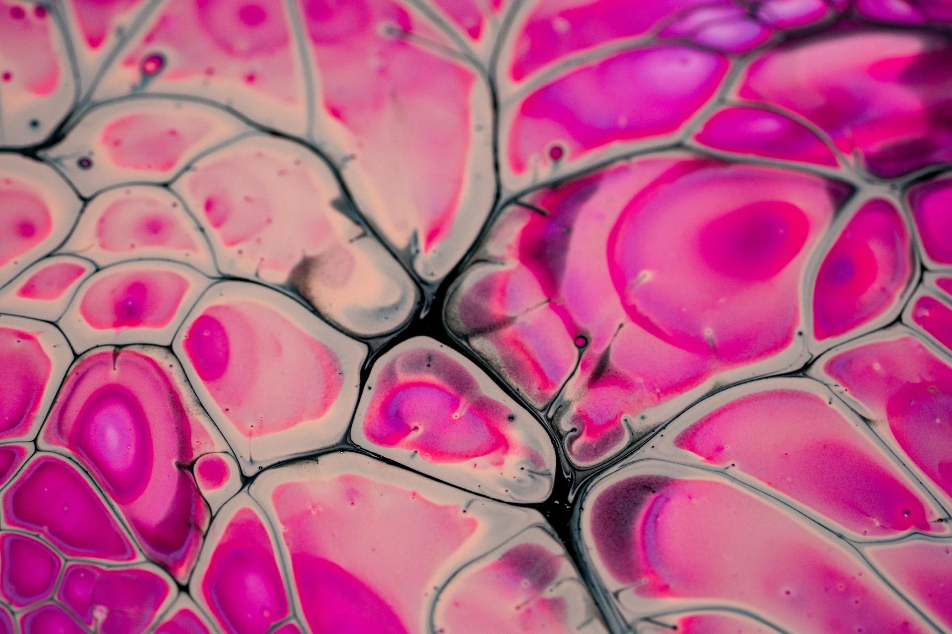 Purple and pink abstract pattern.