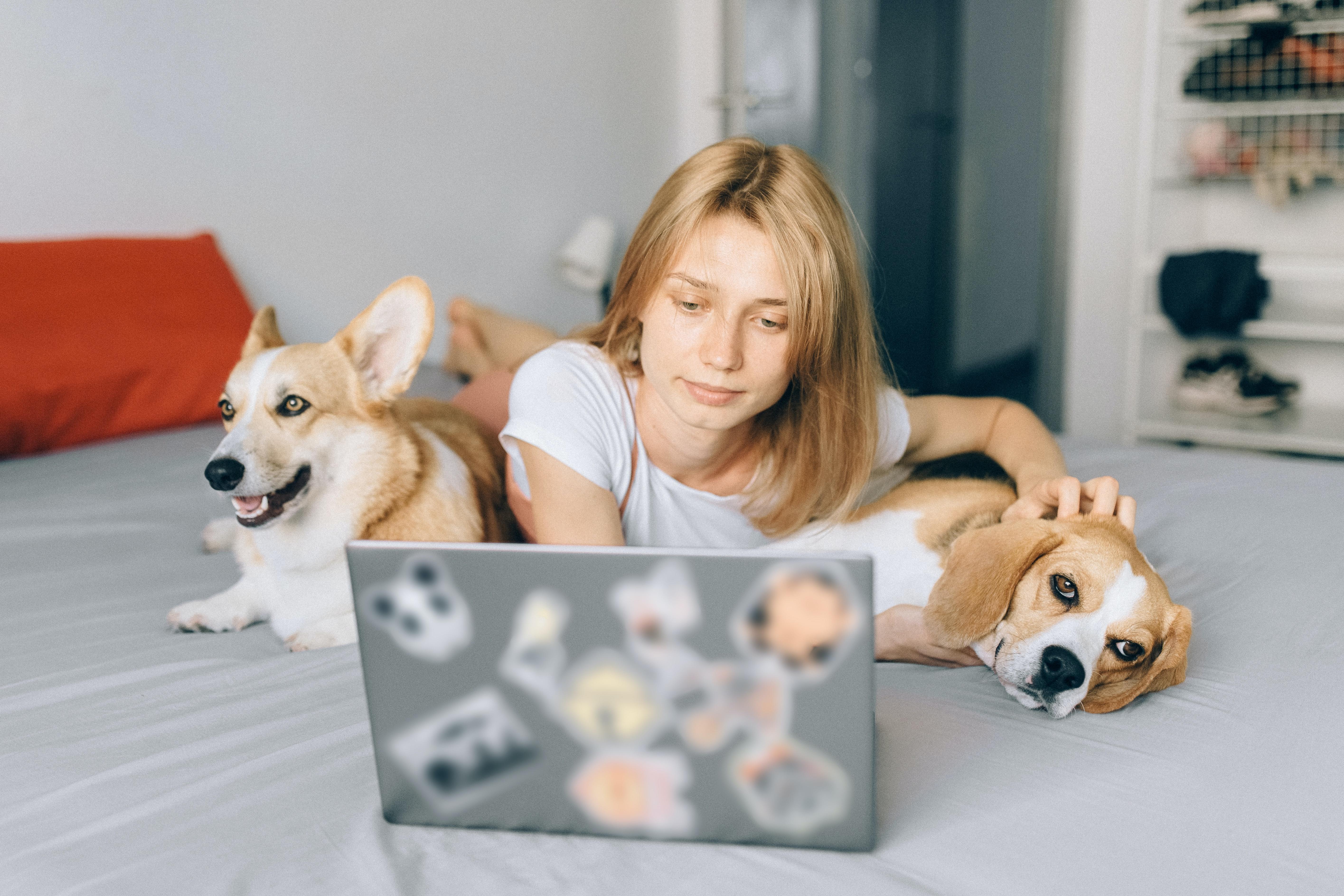 Learning with online tutors can be very comfortable