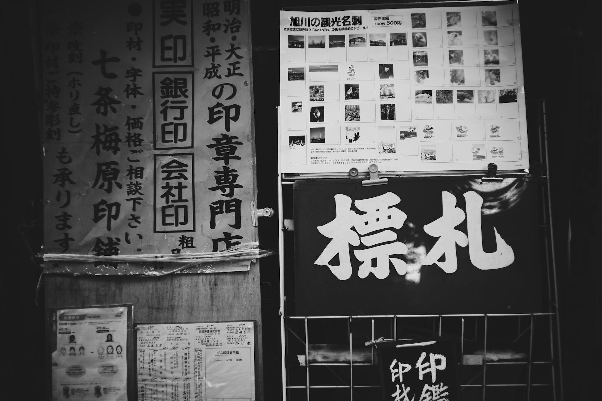 A greyscale image of Japanese writing featuring all three writing systems. 