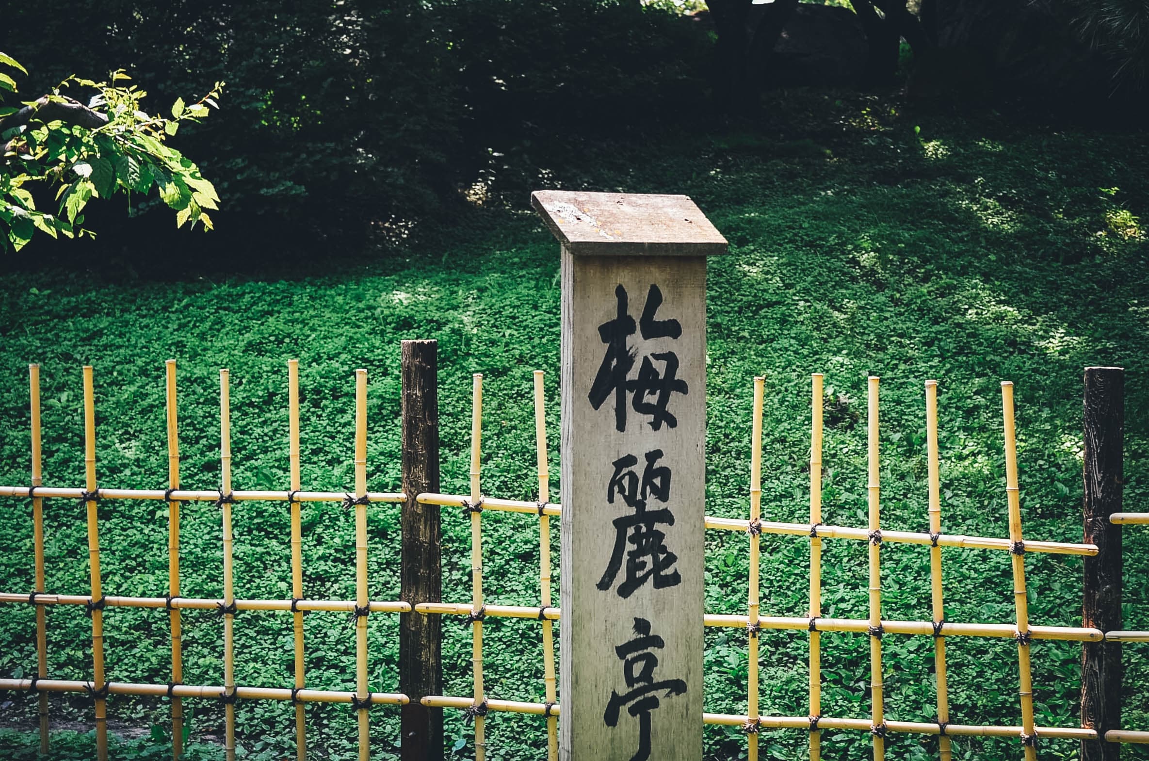 Chinese has an original writing system