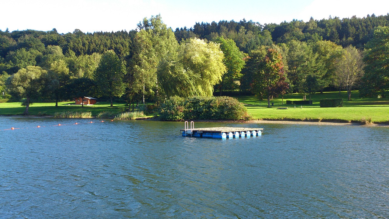 How much do swimming lessons cost?