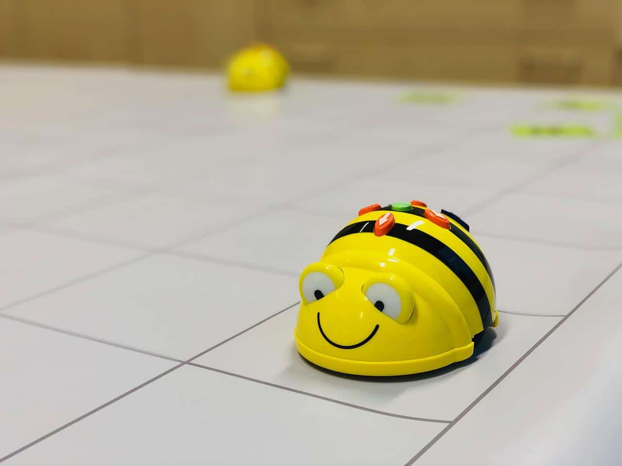 What is a Beebot?