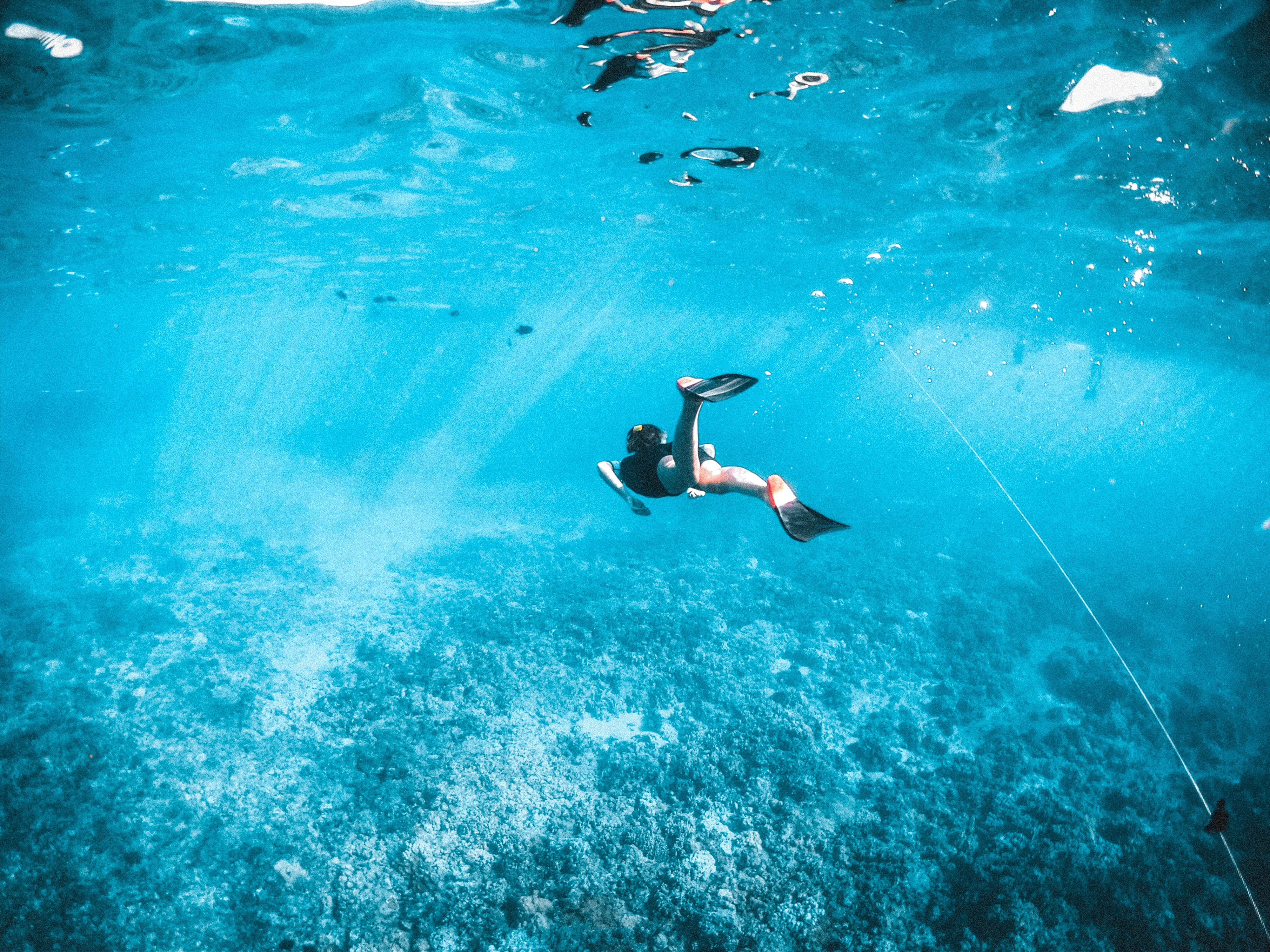 Swimming is perfectly suitable for rehabilitation purposes