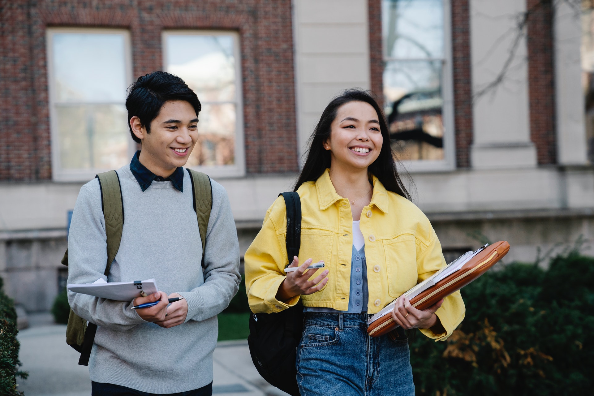 What do you need to study psychology in Australia?