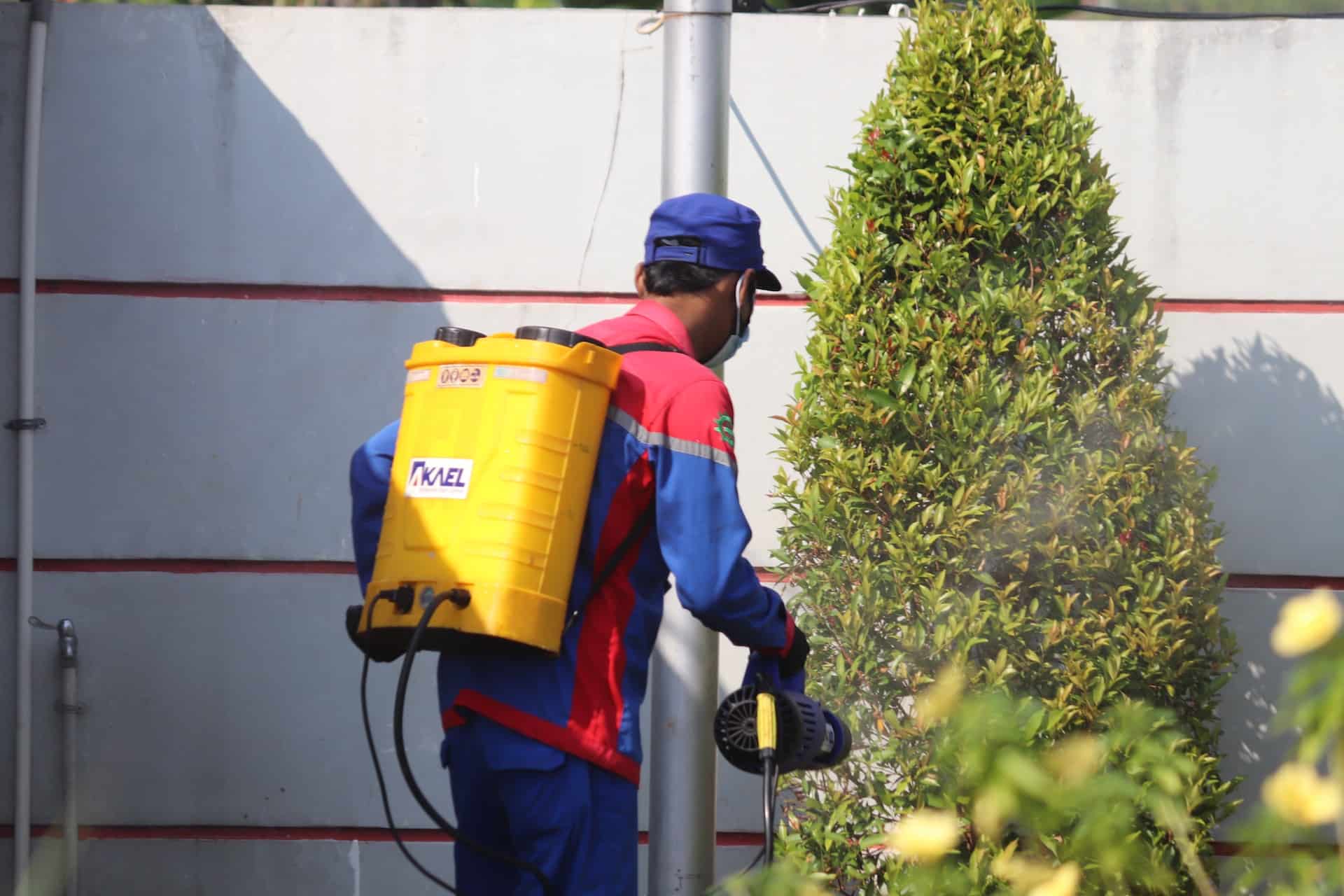A man wearing a ballcap and a red and blue long-sleeved jacket outdoors, spraying chemicals from a yellow tank.