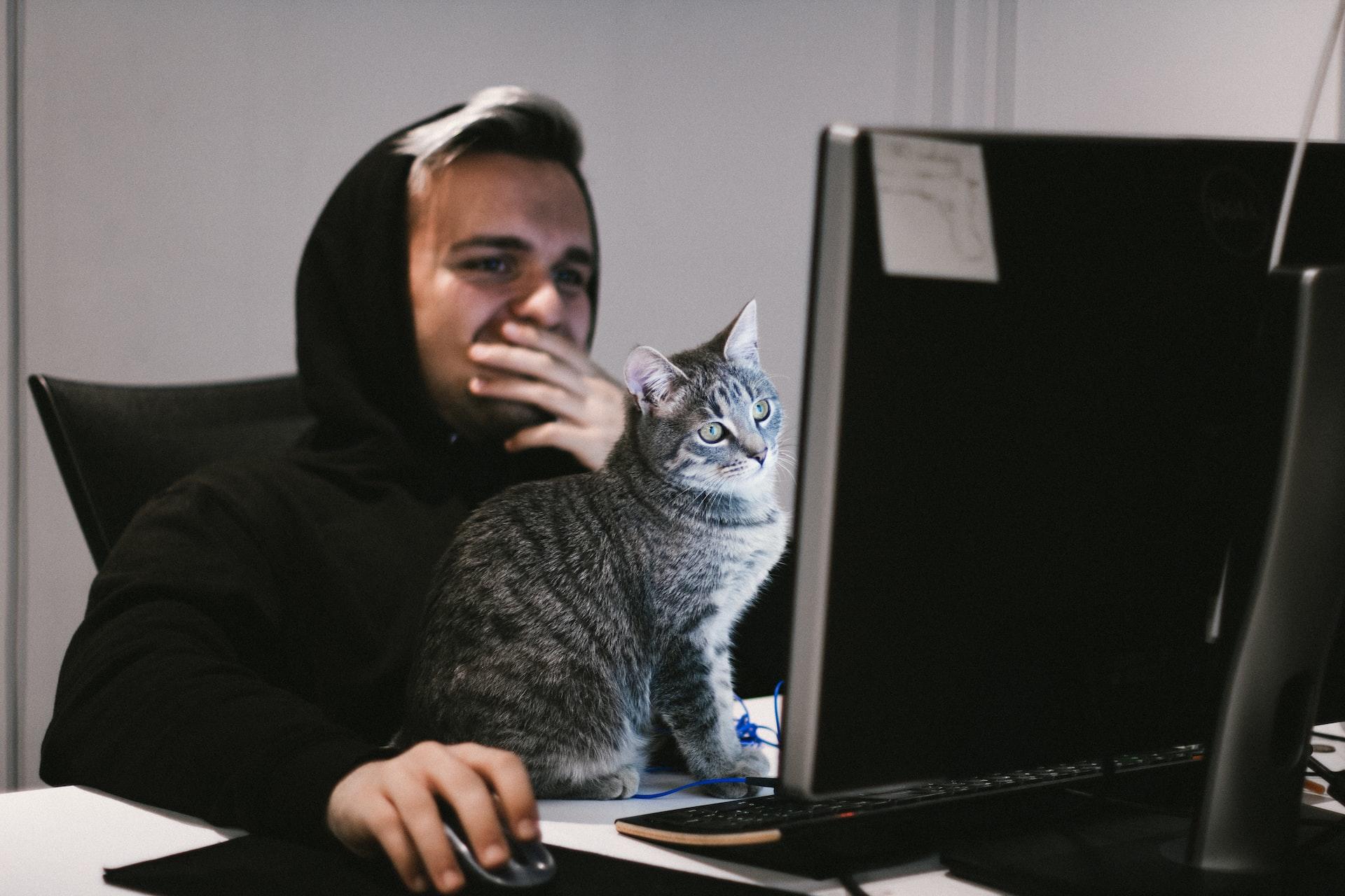 Man and cat at computer