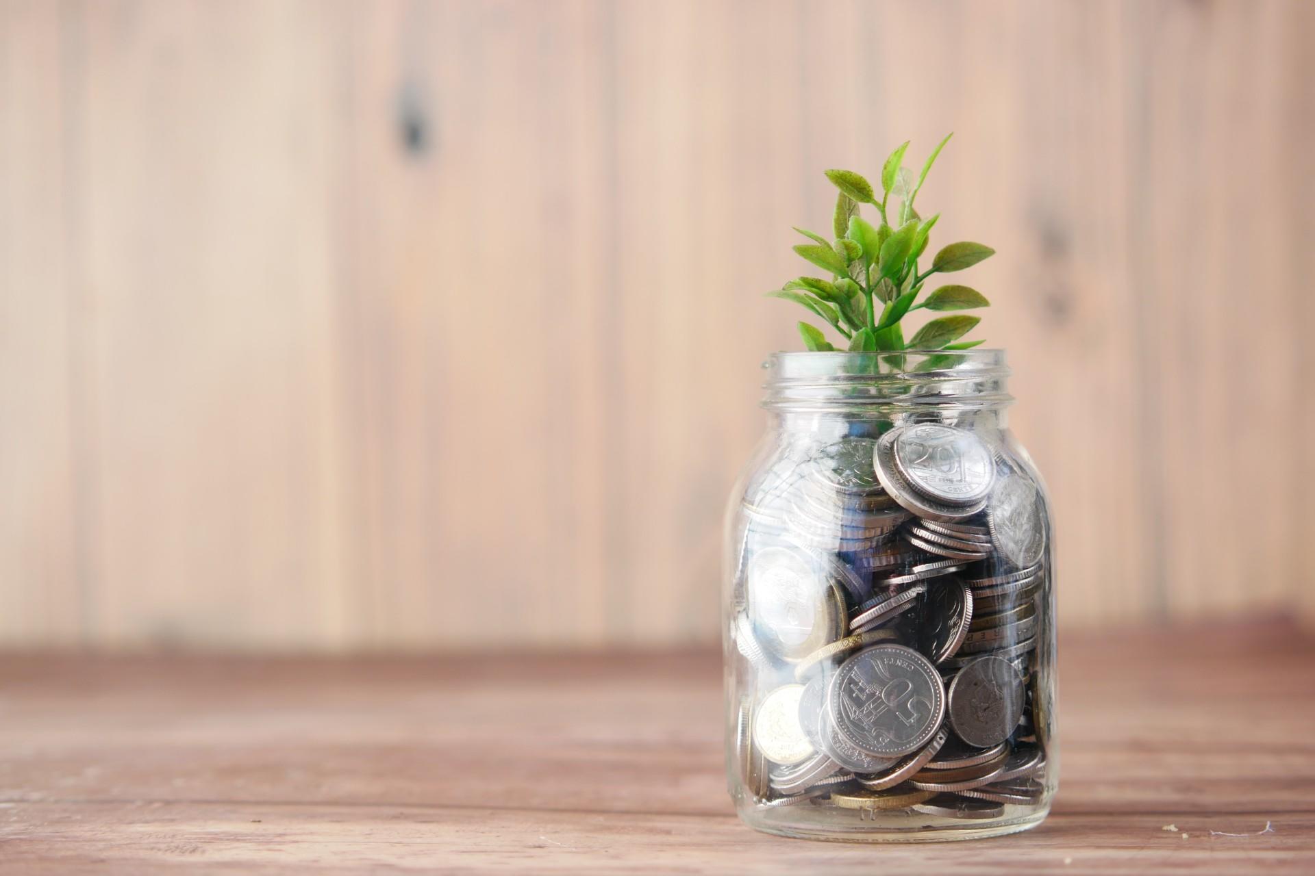 A plant growing from a jar full of money
