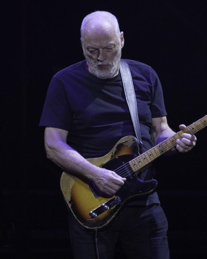 David Gilmour
