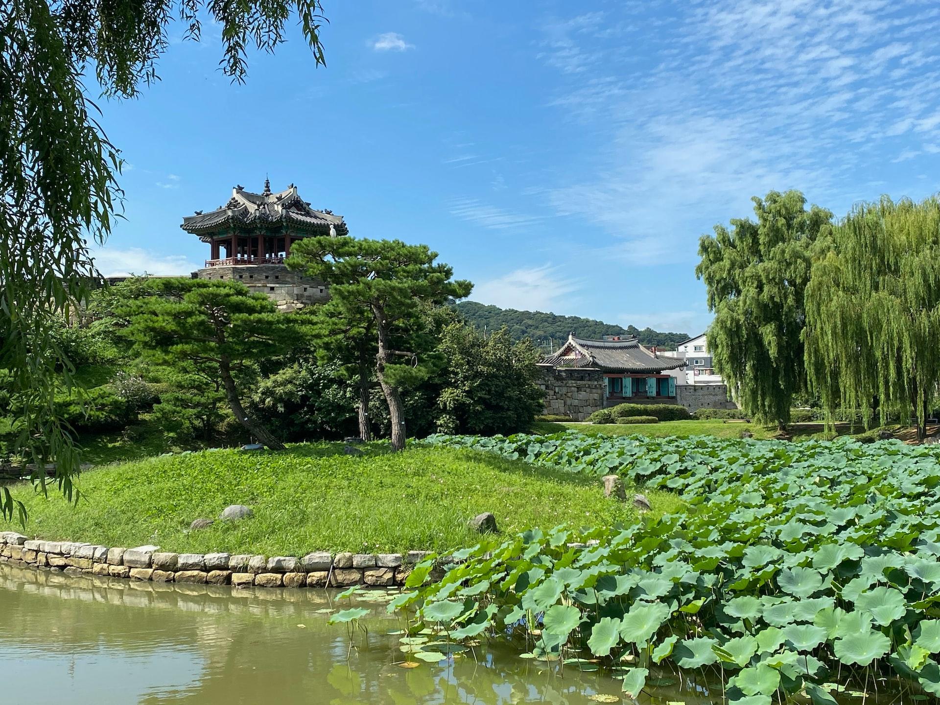 A pond in a park in South Korea