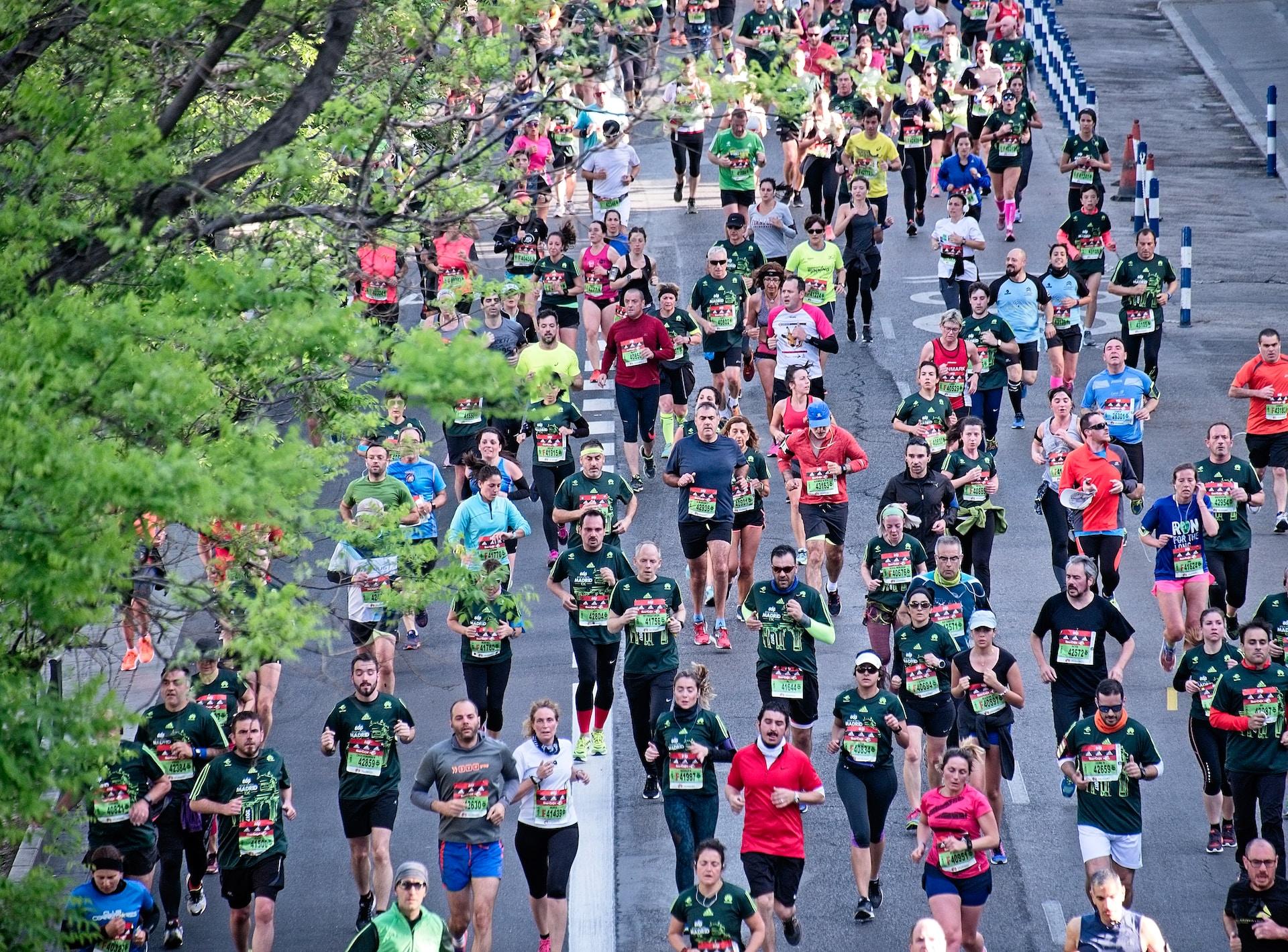 A group of people, all wearing different coloured running garb with each bearing a race number, run on a path alongside a strip of green grass, and past a tree whose branches shelter them overhead.