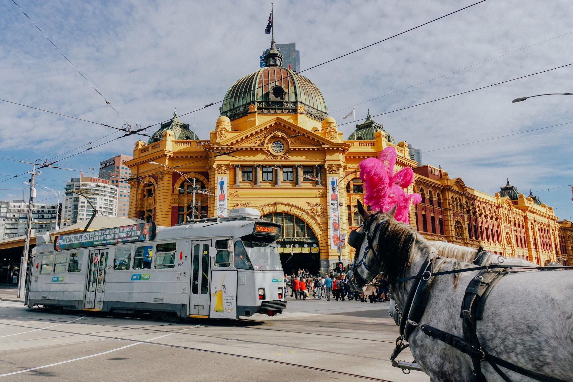 A view of a tram and horses in a street in Melbourne, Australia.