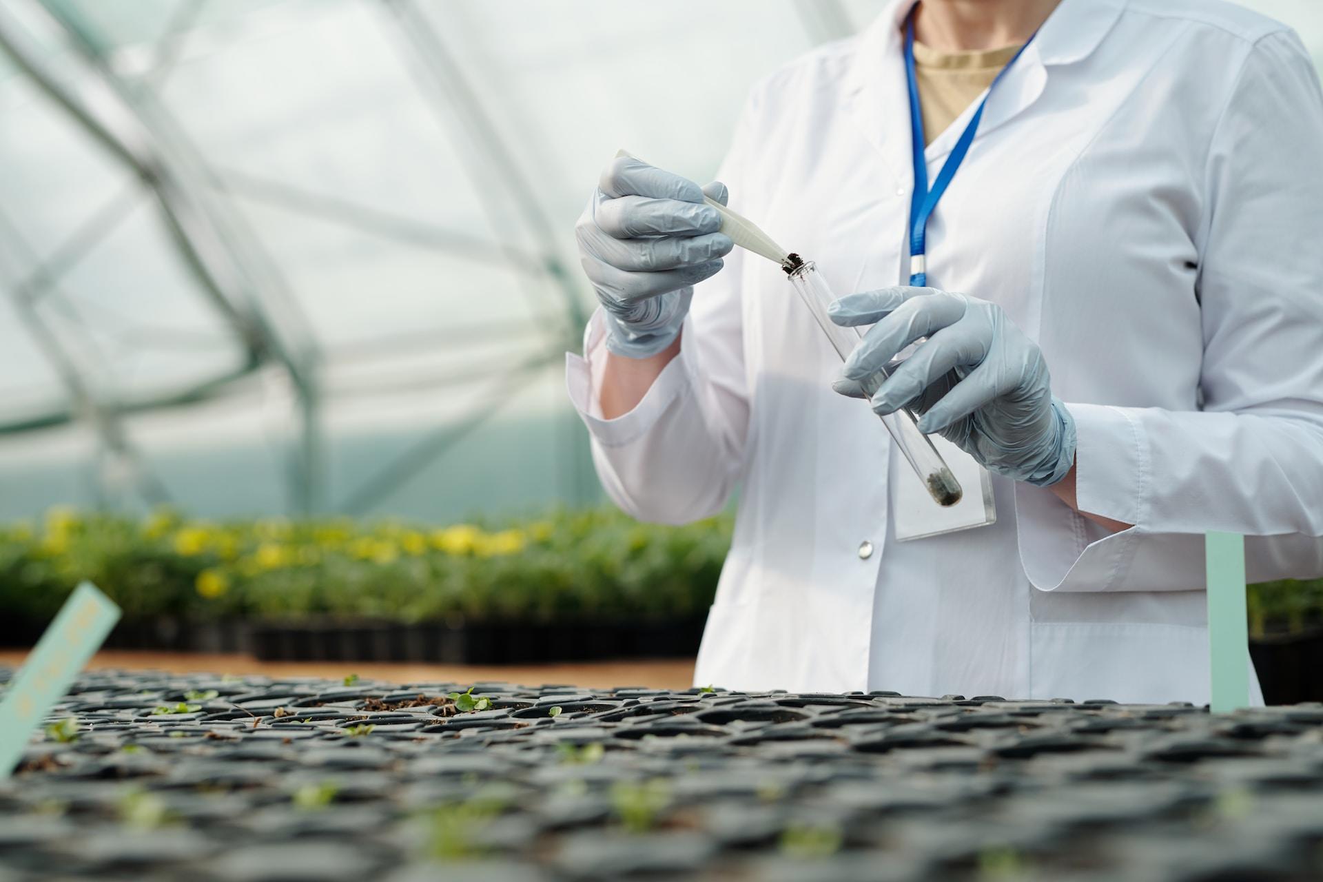A person wearing a white lab coat and nitrile gloves, with an identification badge on a blue lanyard around their neck, tests soil samples in a greenhouse. 
