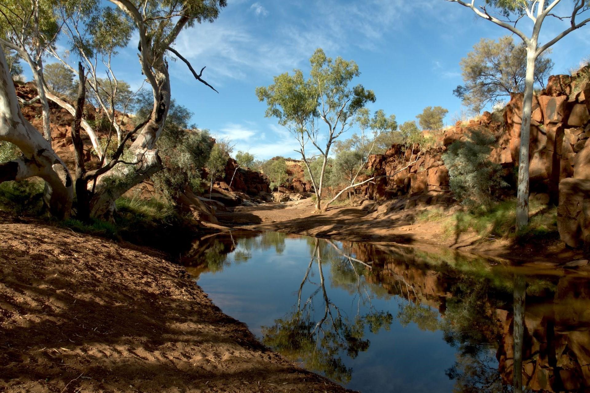 A billabong in Western Australia.