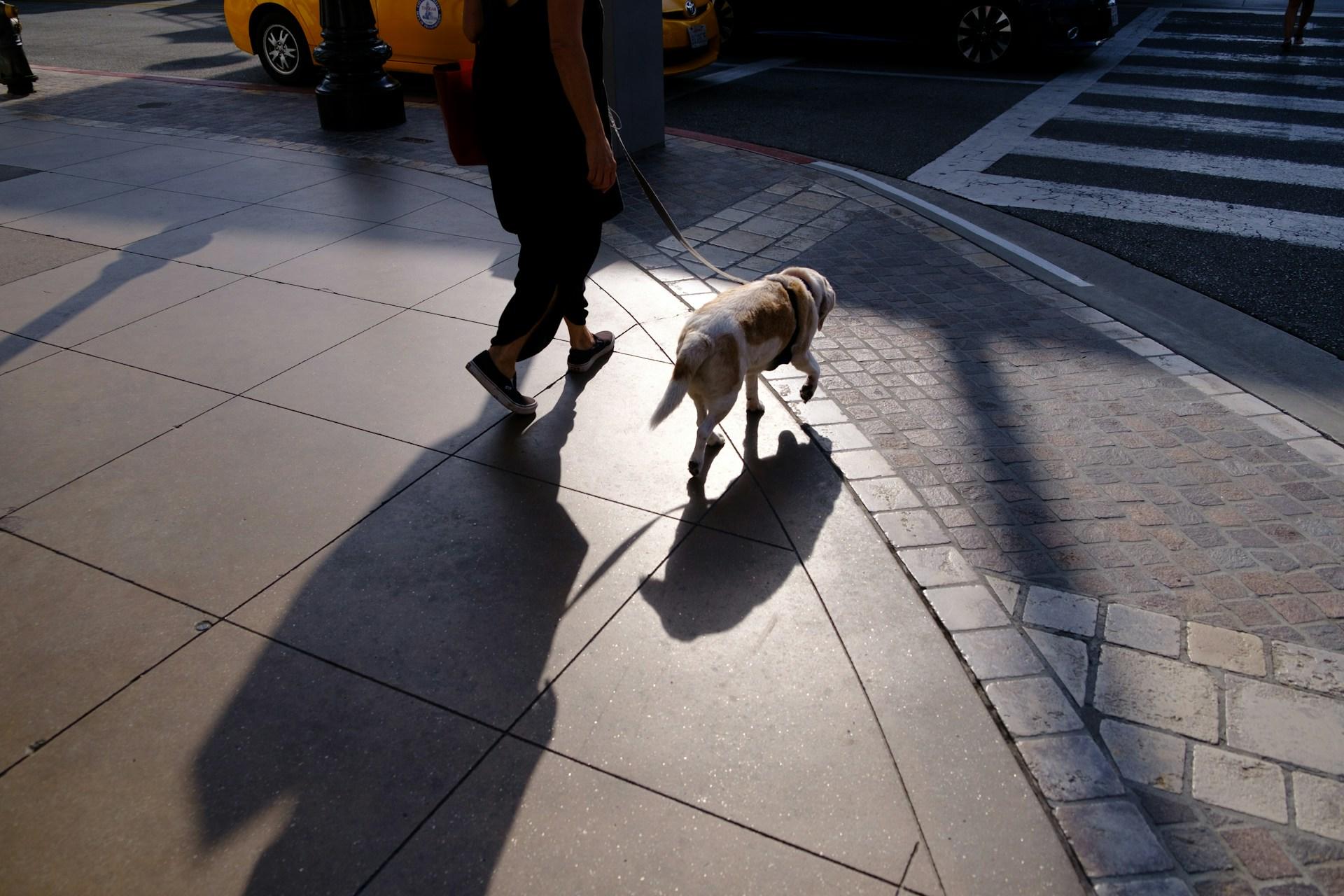 A person walking a dog.